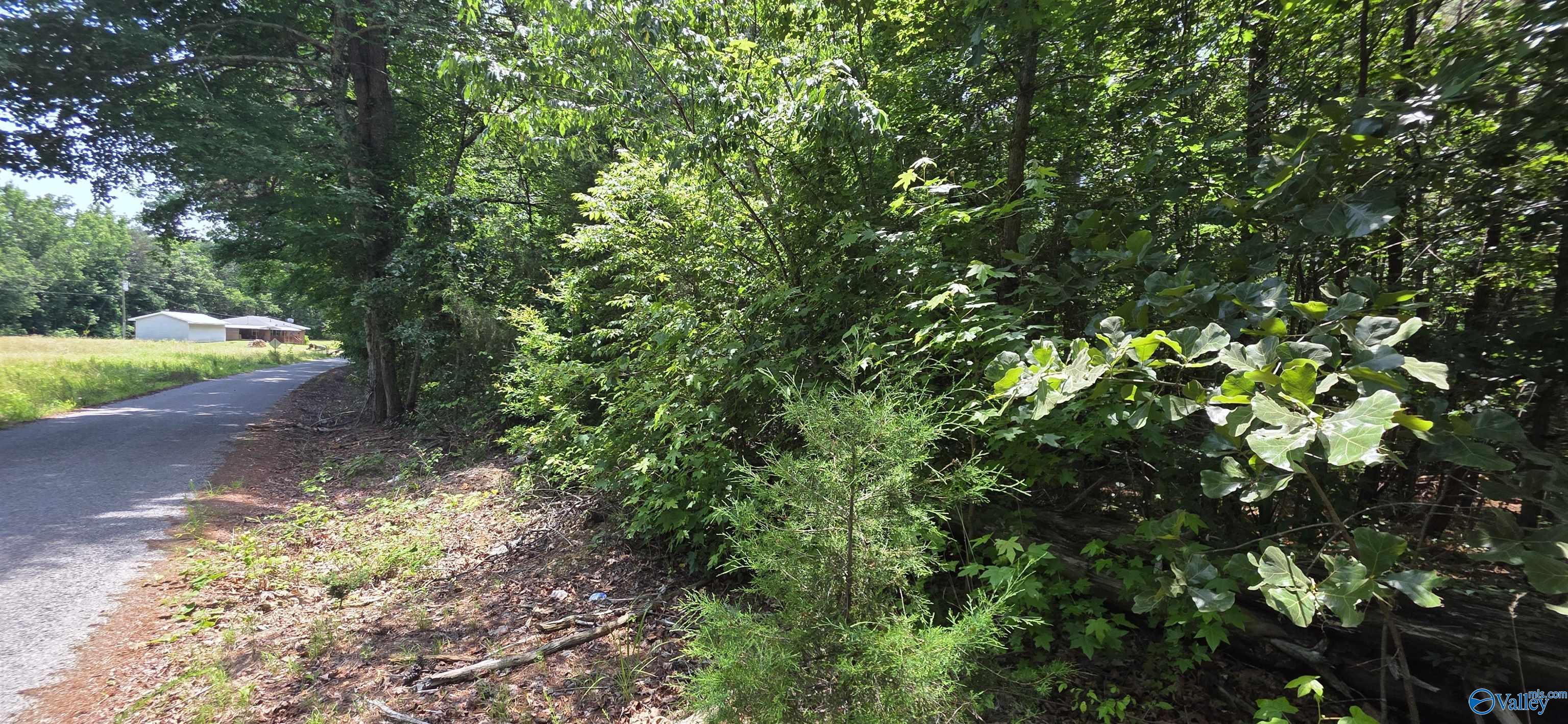 4.55ac County Road 730