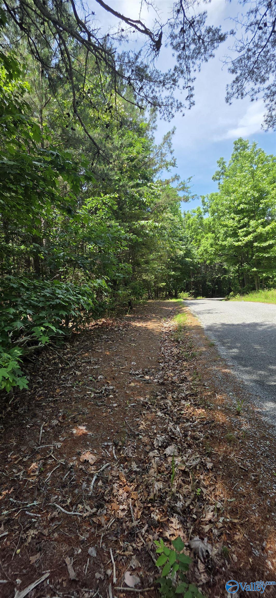 4.55ac County Road 730