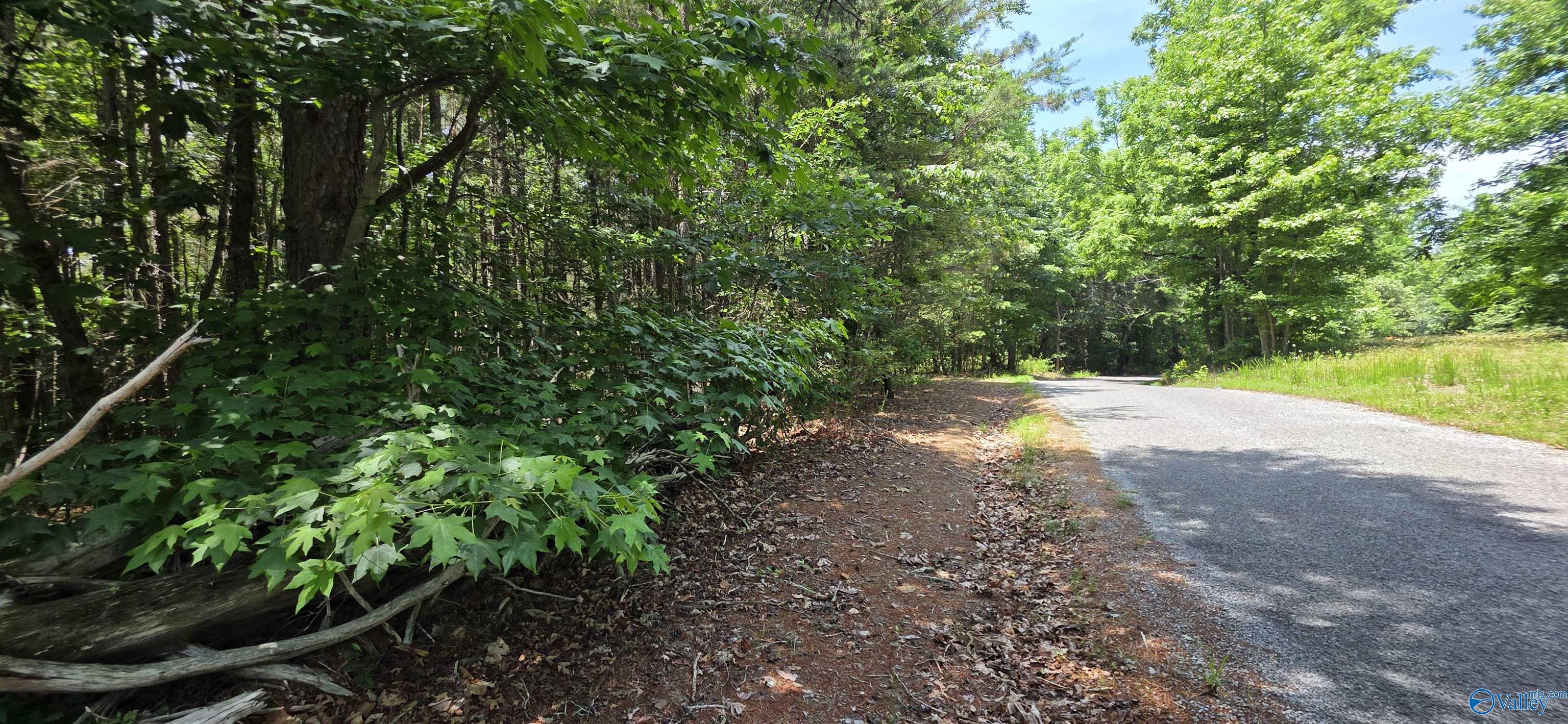 4.55ac County Road 730