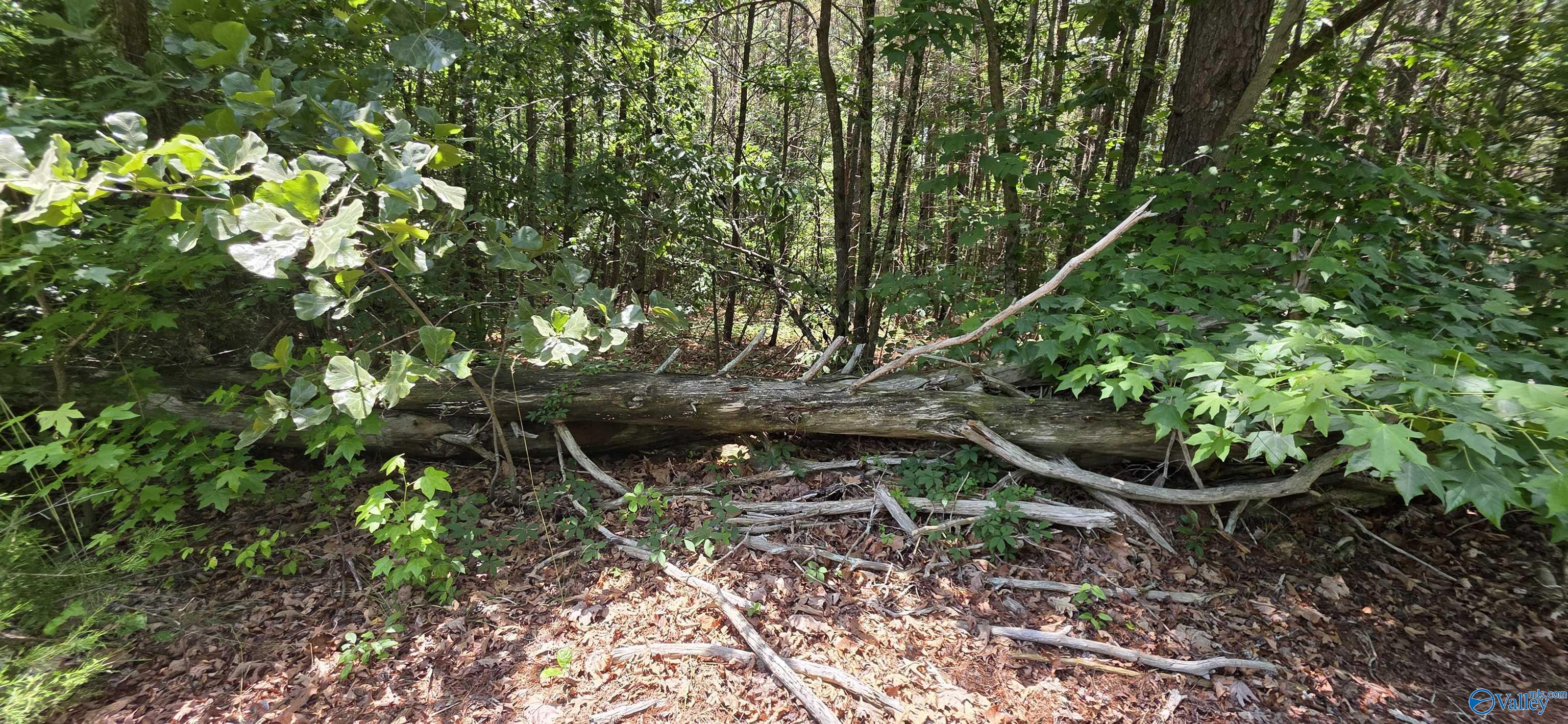 4.55ac County Road 730