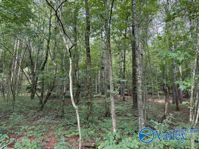 45 County Road 458