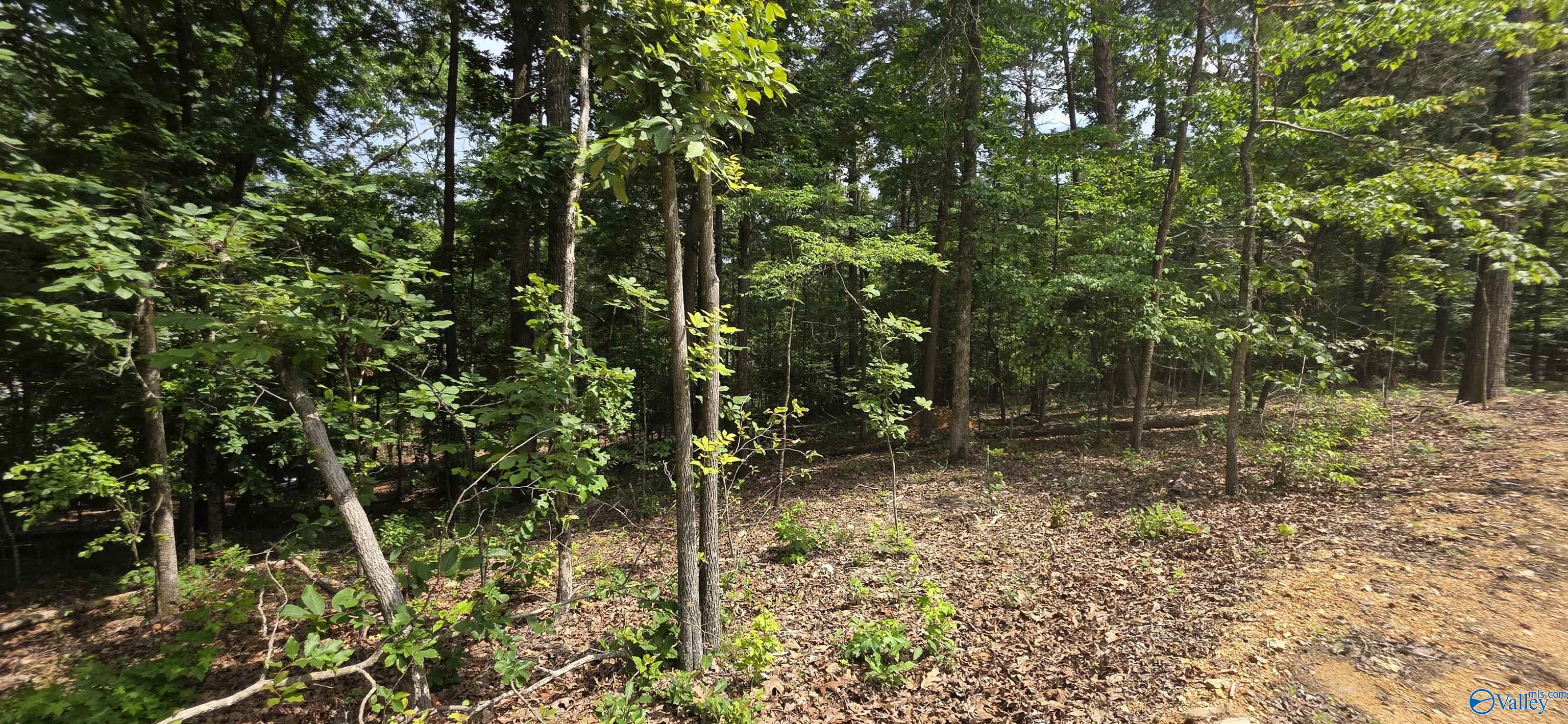 3.08ac Red Oak Drive
