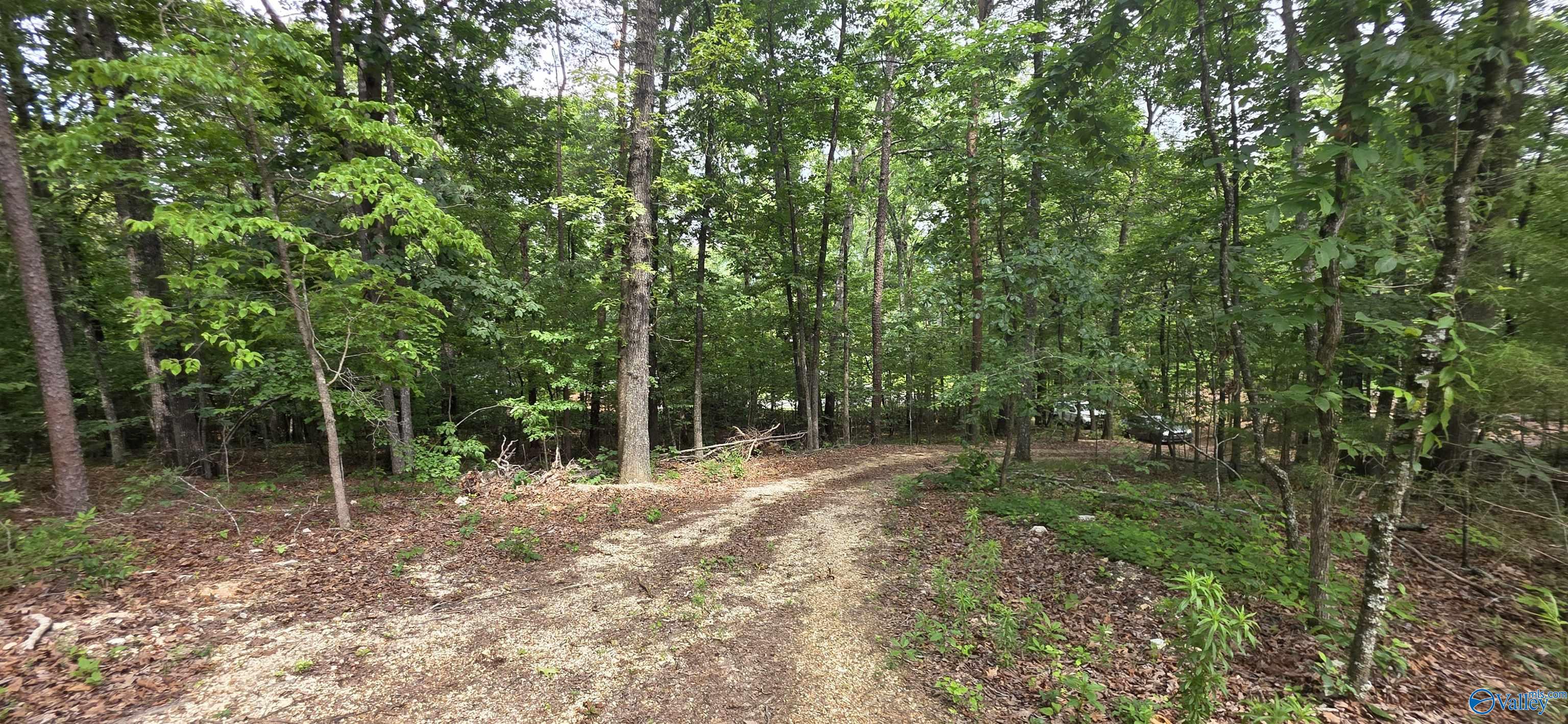 3.08ac Red Oak Drive
