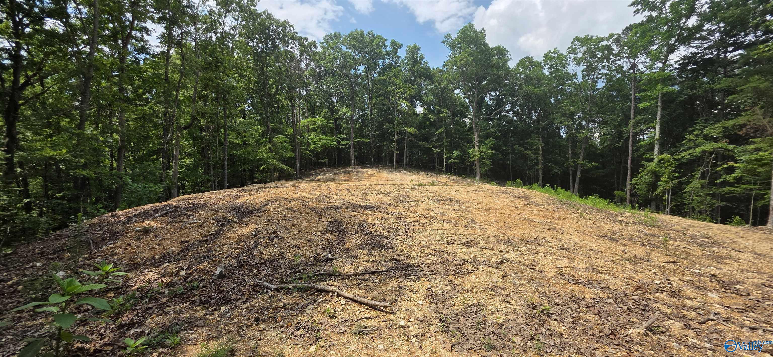 3.08ac Red Oak Drive