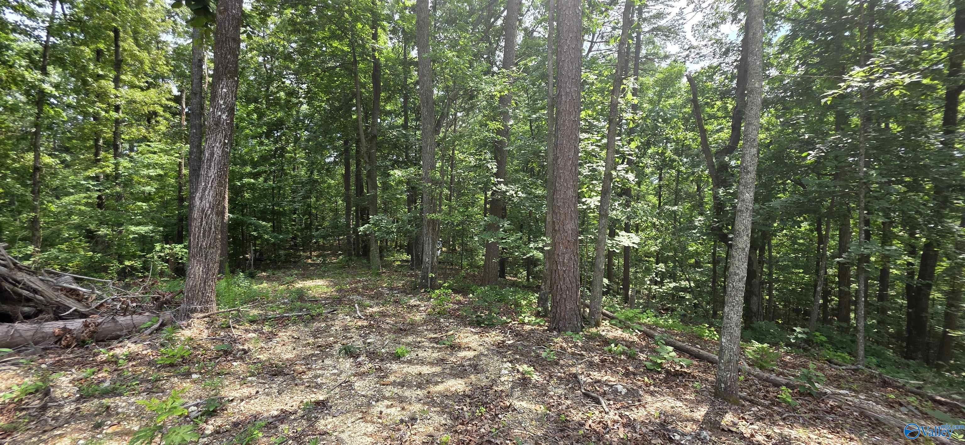 3.08ac Red Oak Drive