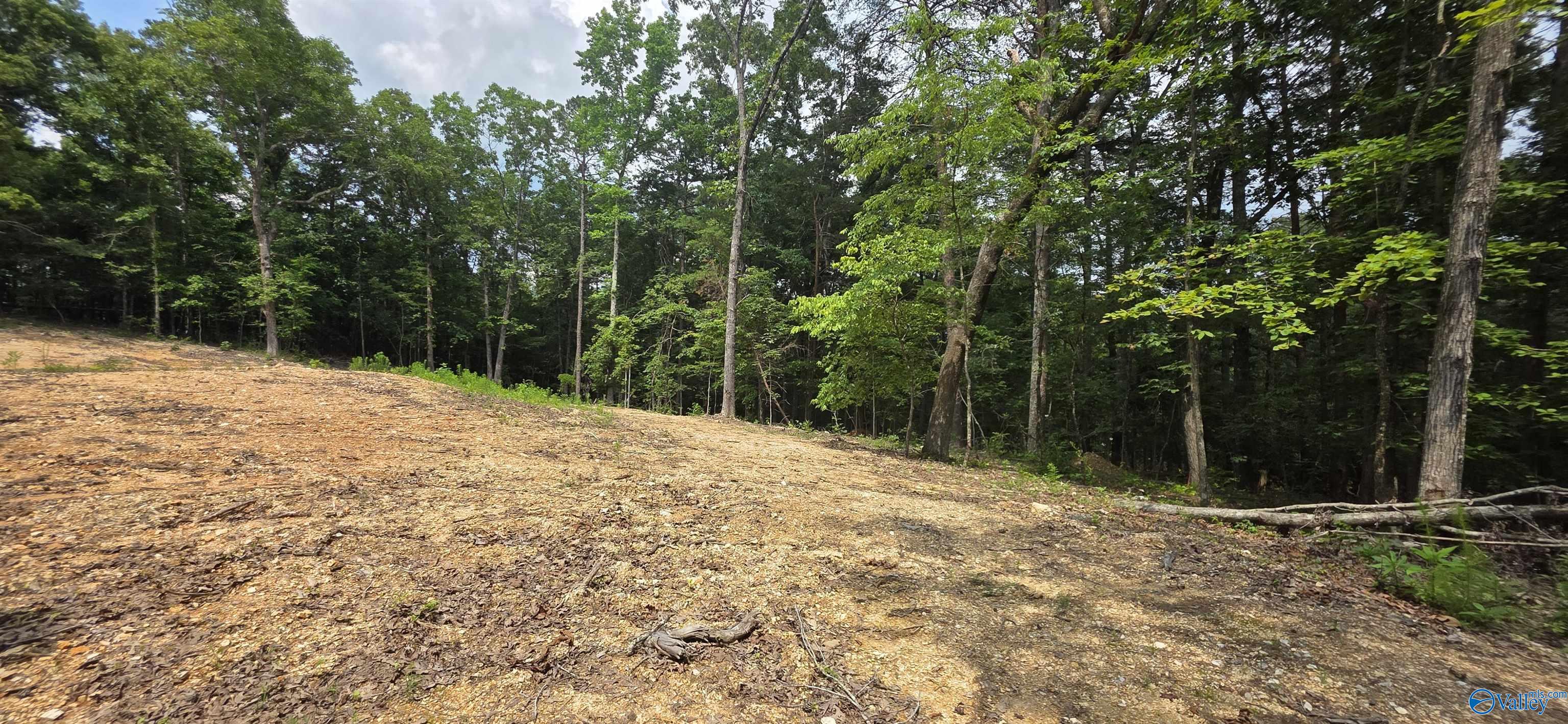 3.08ac Red Oak Drive