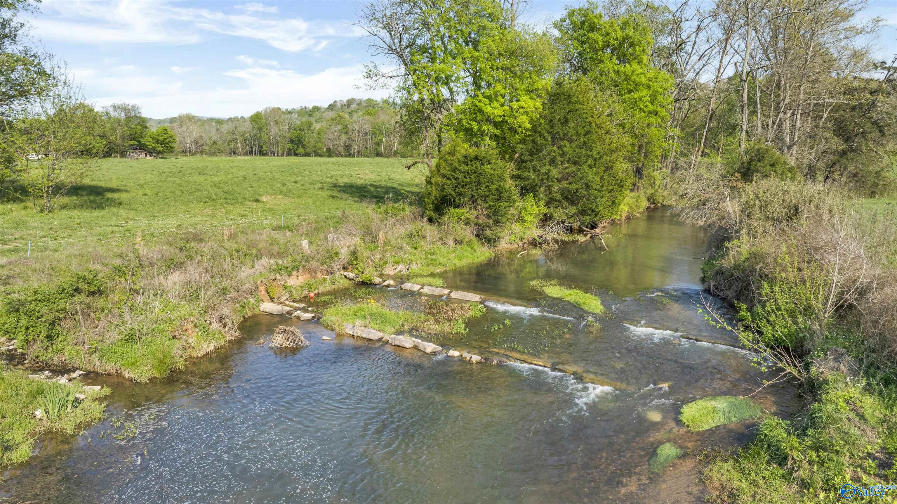 A creek runs past a green pasture and wooded banks, with stones crossing shallow water.