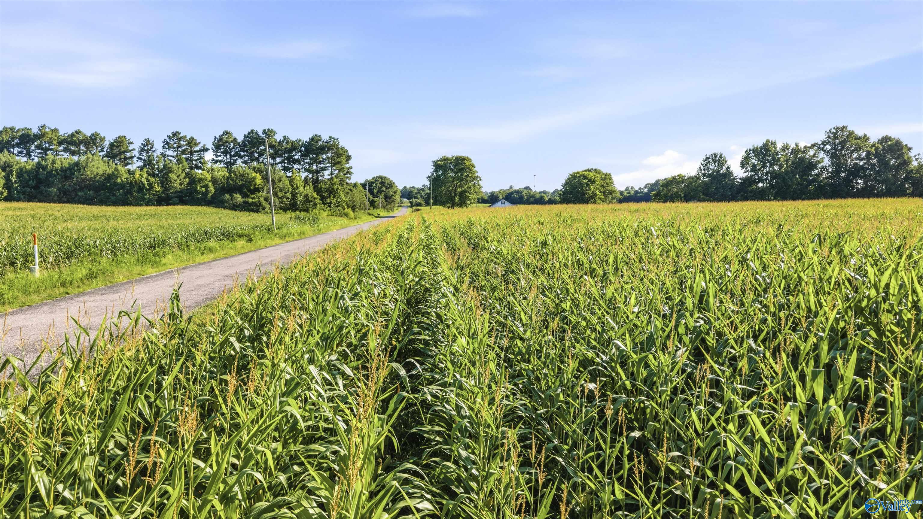 5.1 ACRES County Road 296