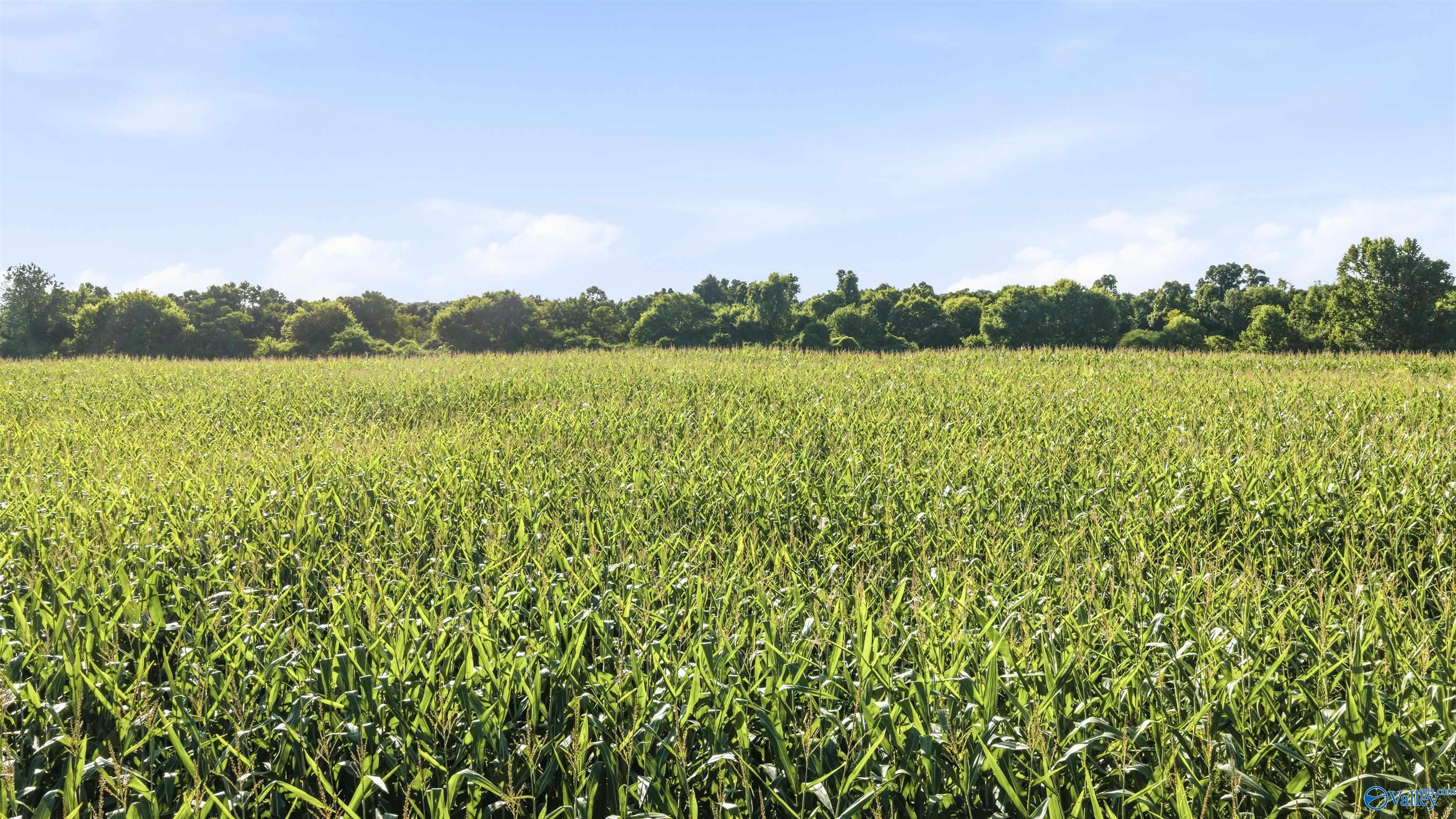 5.1 ACRES County Road 296