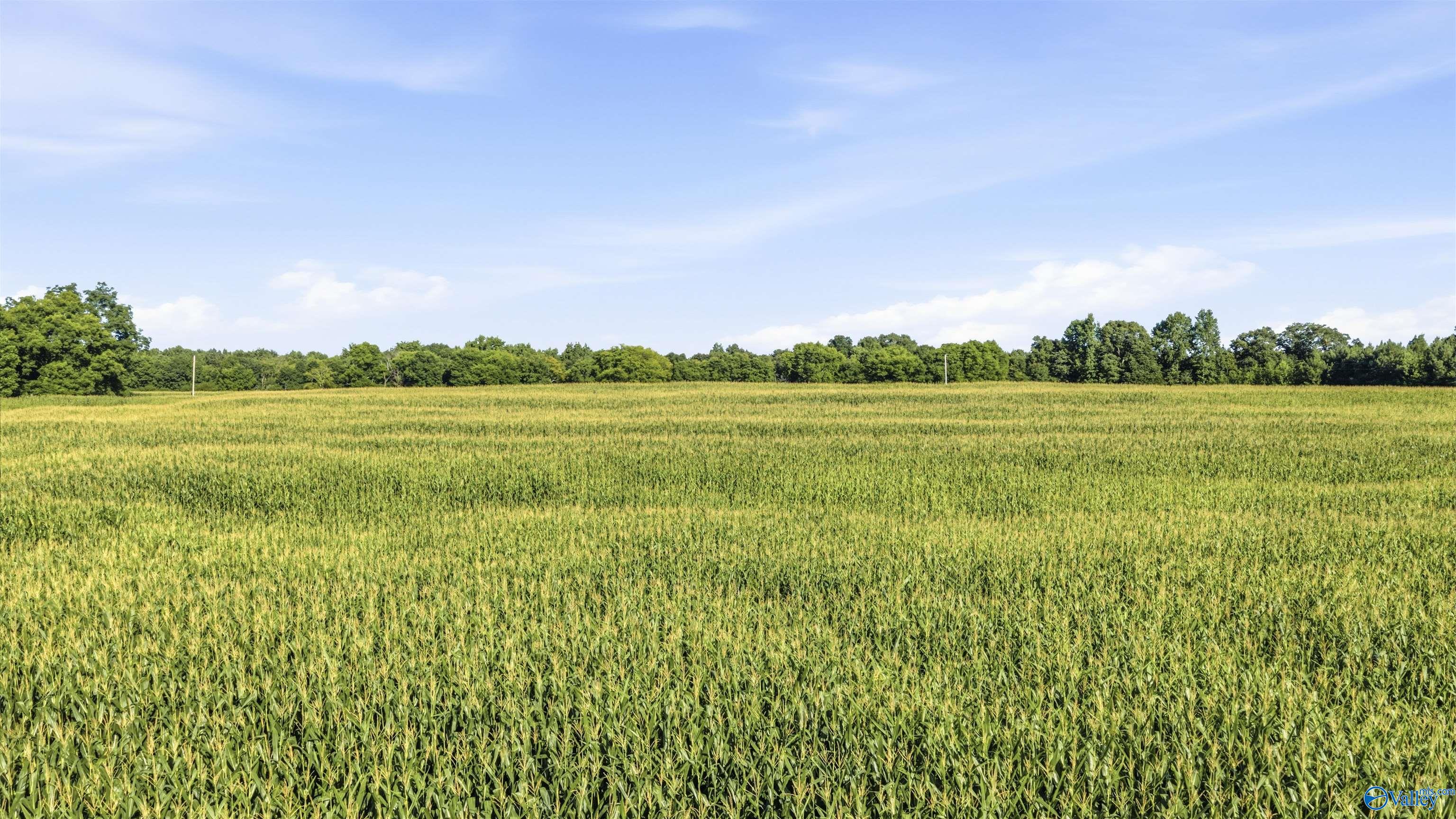 5.1 ACRES County Road 296