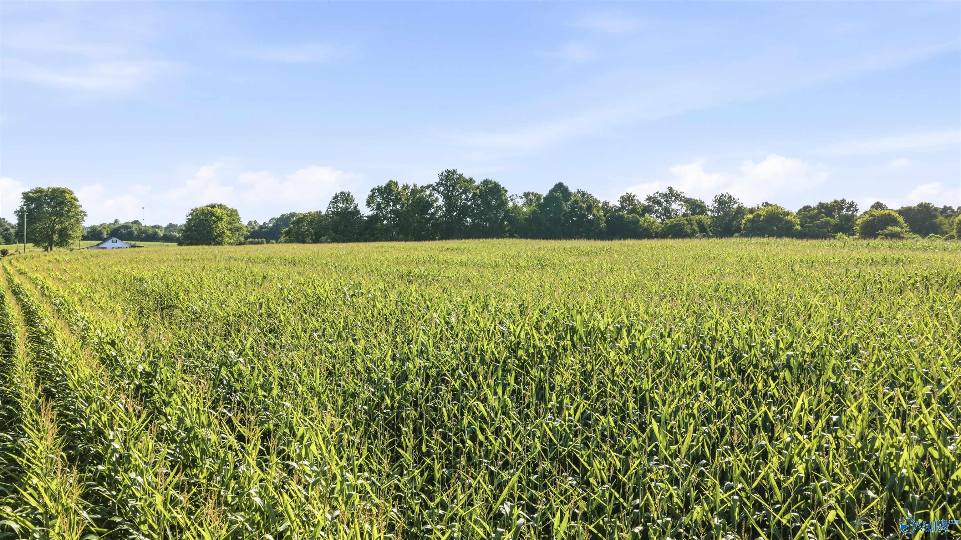 5.1 ACRES County Road 296