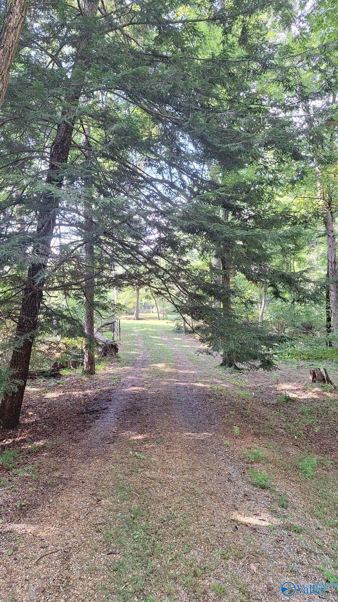 16654 County Road 89