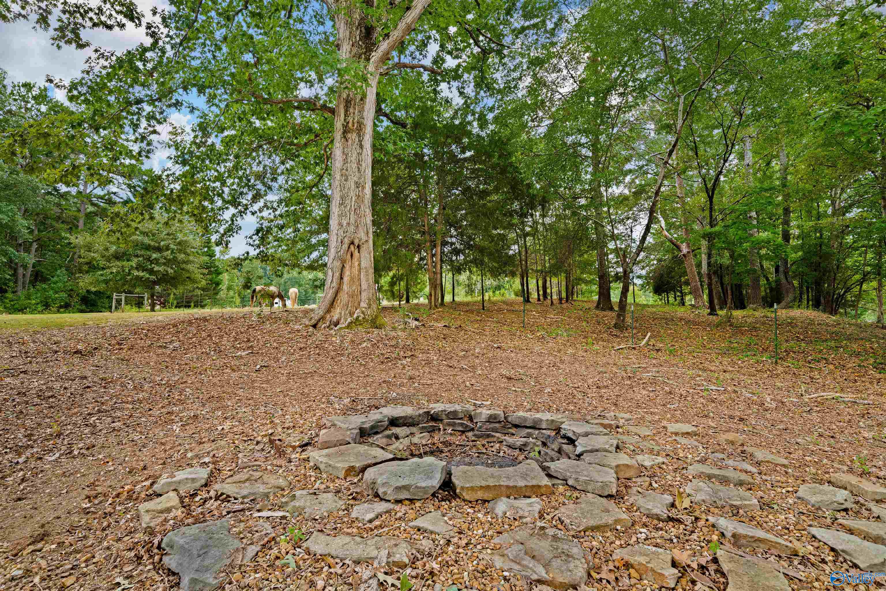120 County Road 772