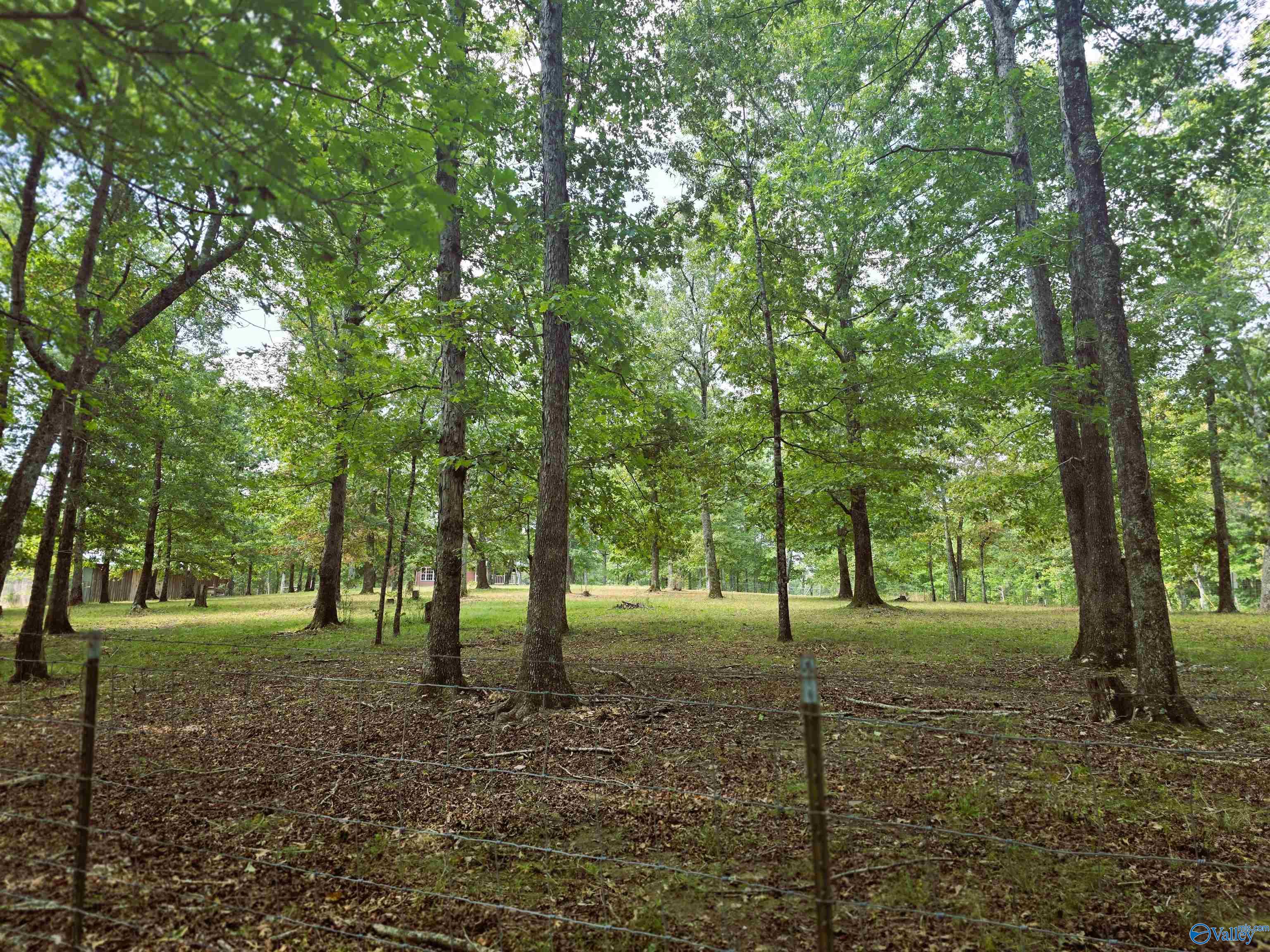 2030 County Road 625