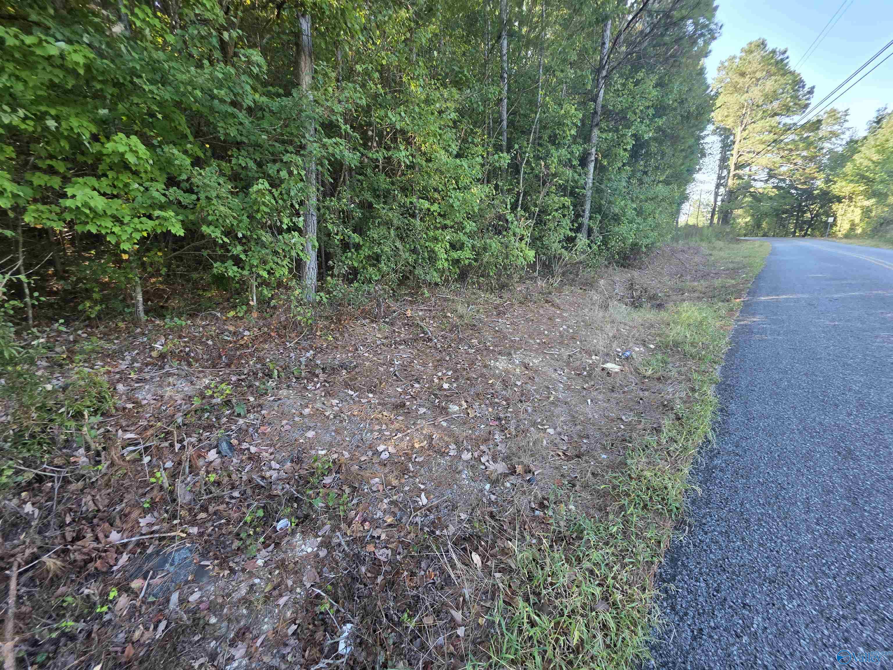 1570 County Road 97