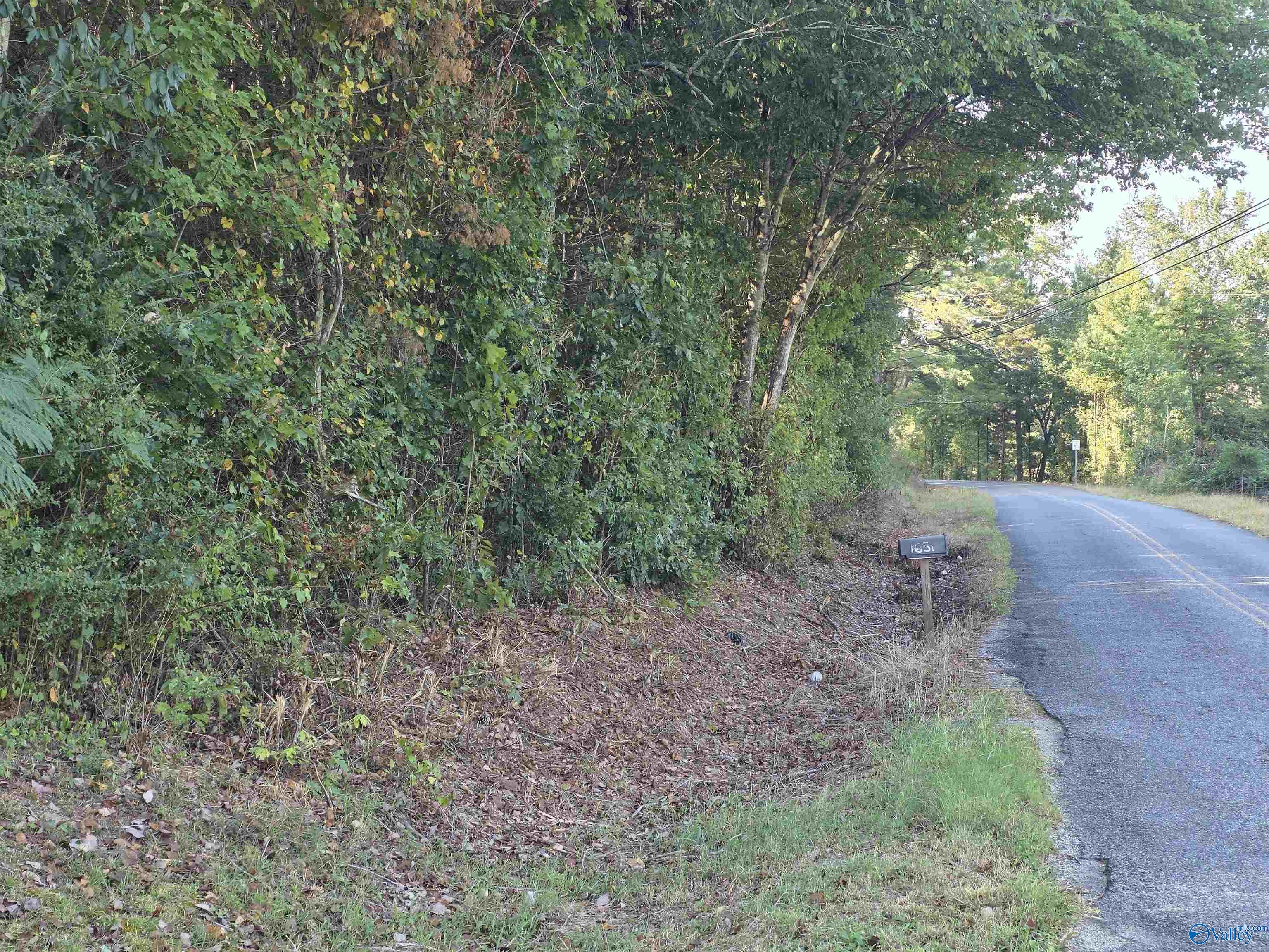 1570 County Road 97