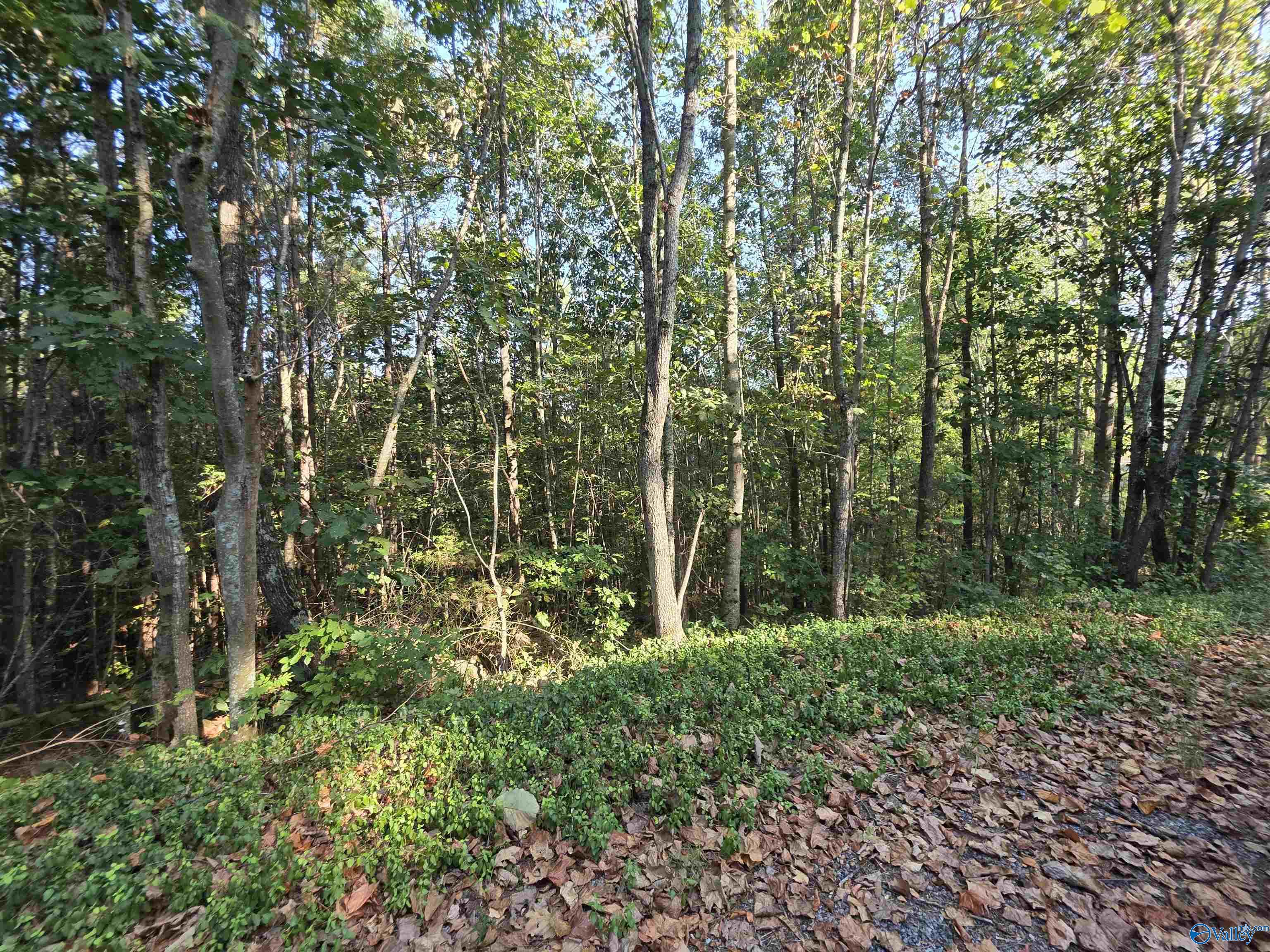 1570 County Road 97