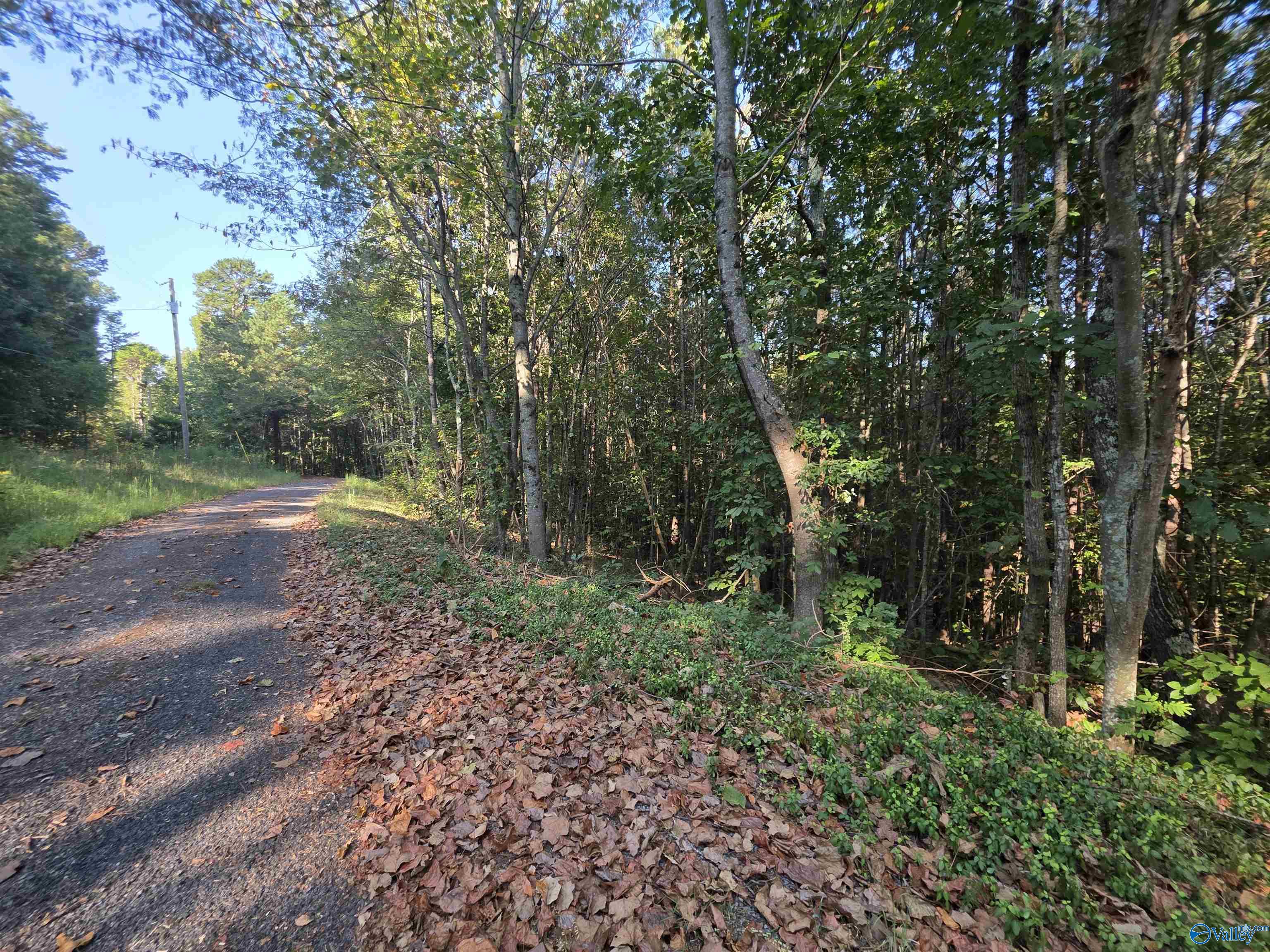 1570 County Road 97