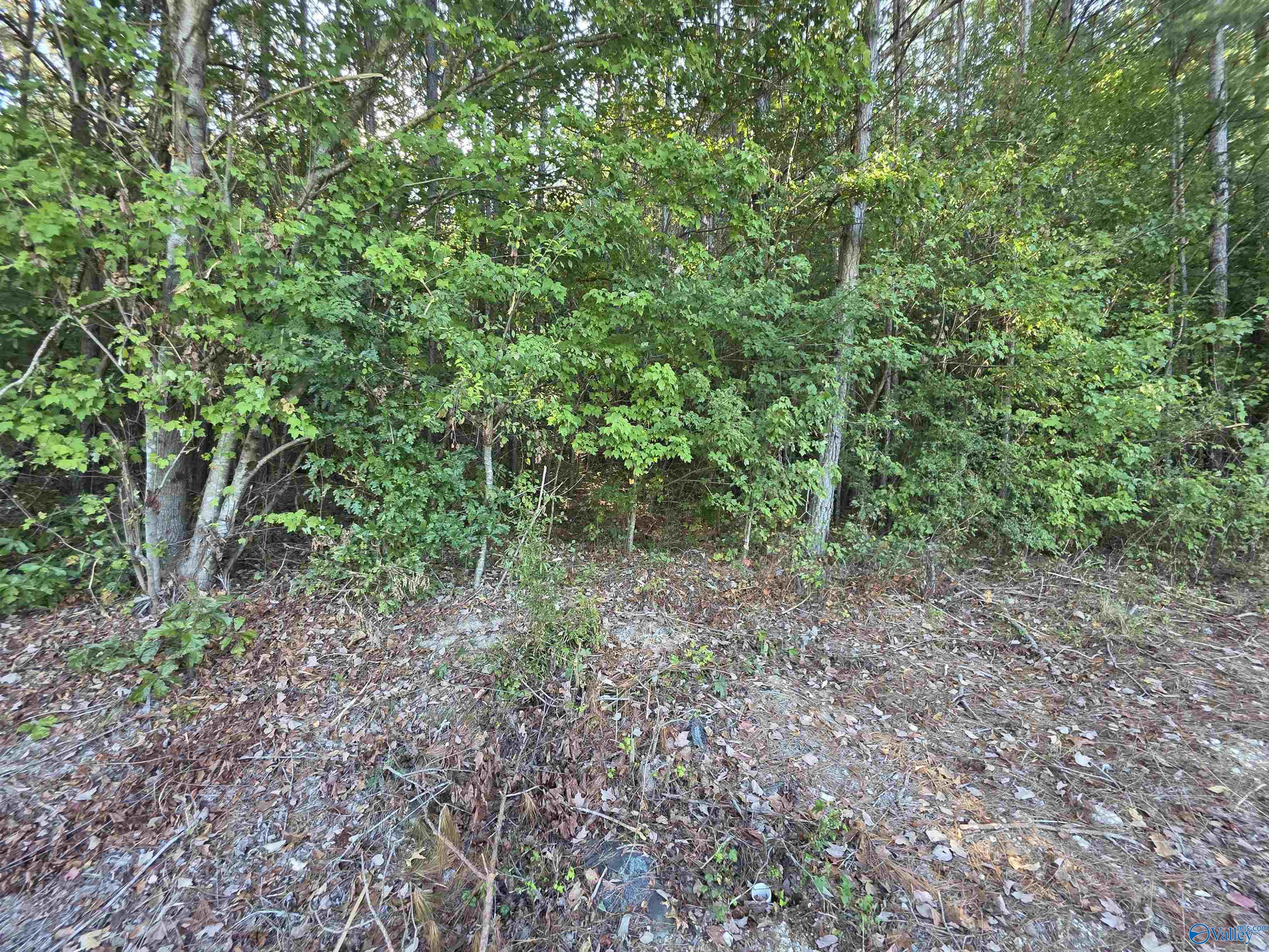 1570 County Road 97