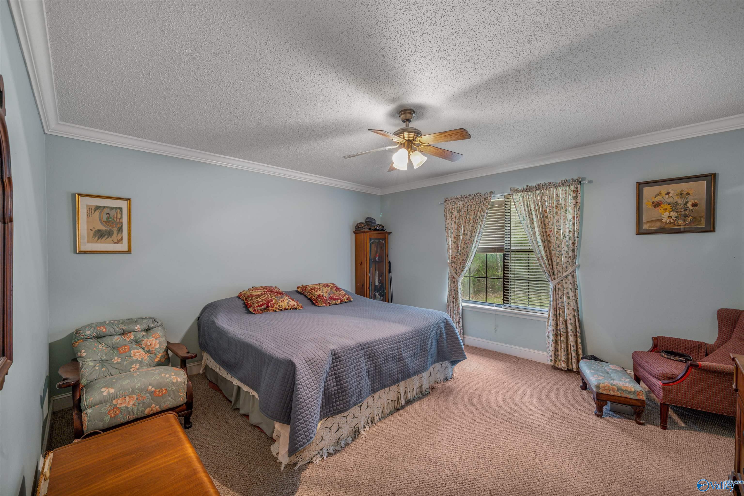 11364 Alabama Highway 117