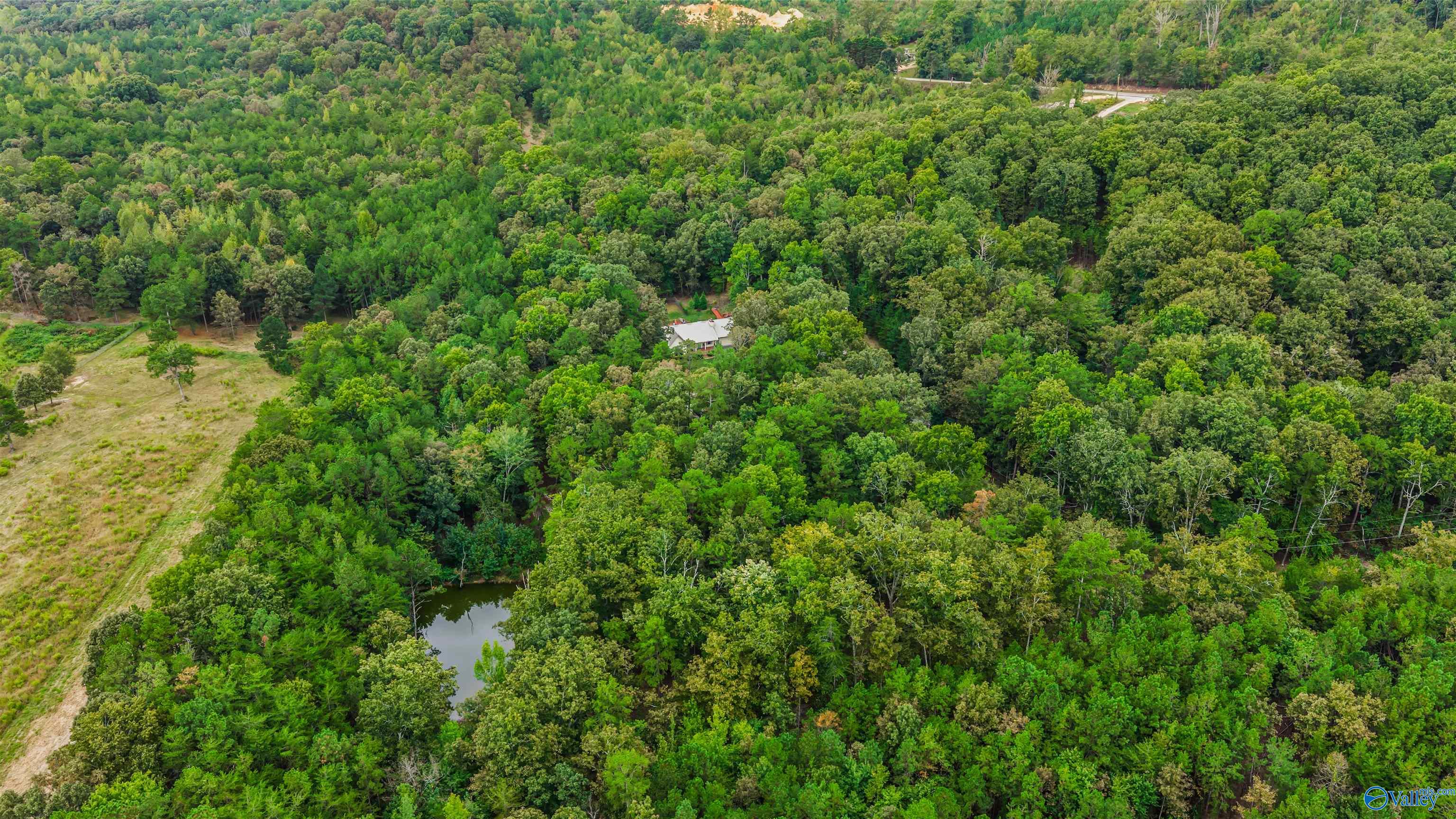 11364 Alabama Highway 117