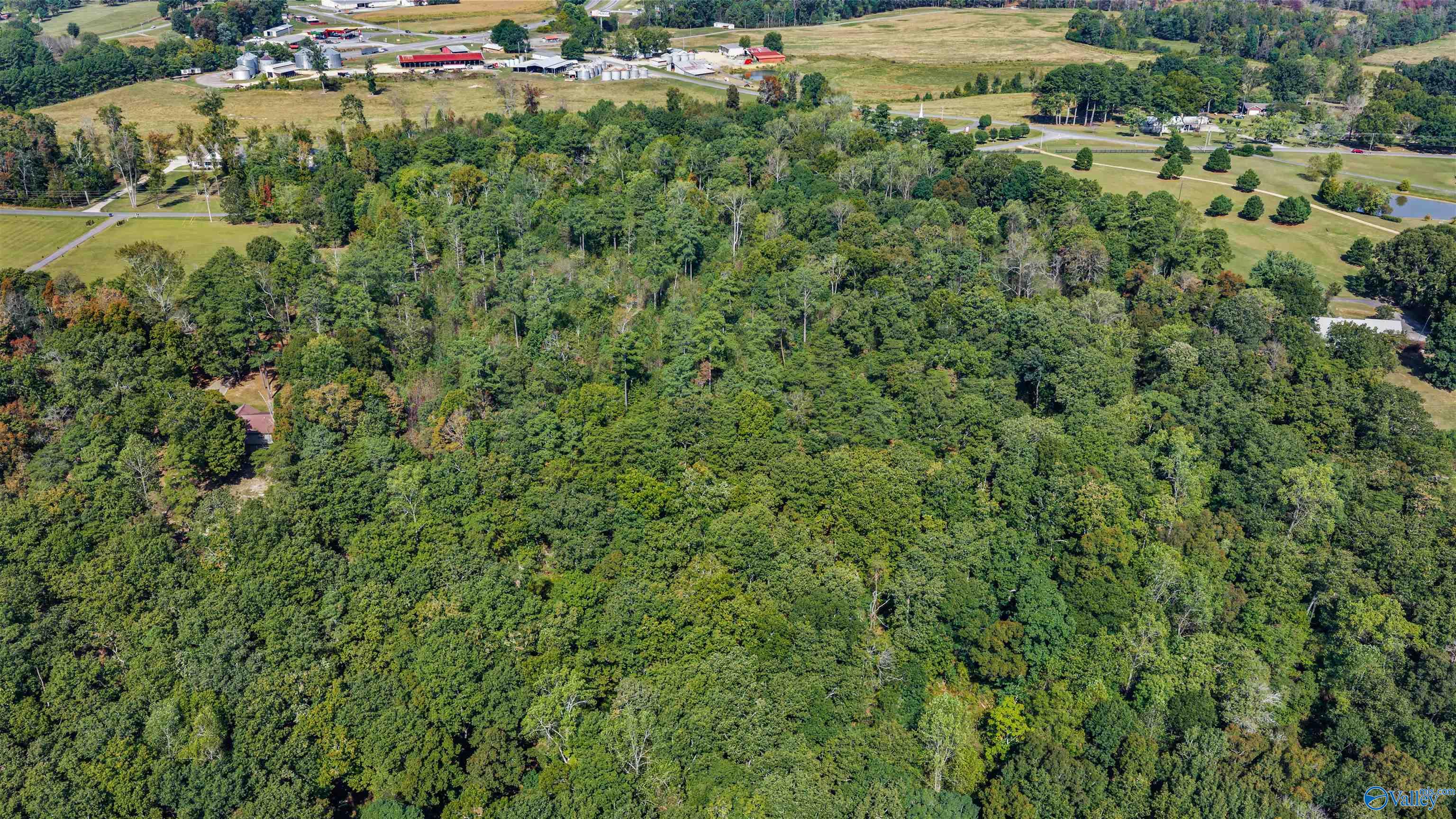 211 Bluff View Drive