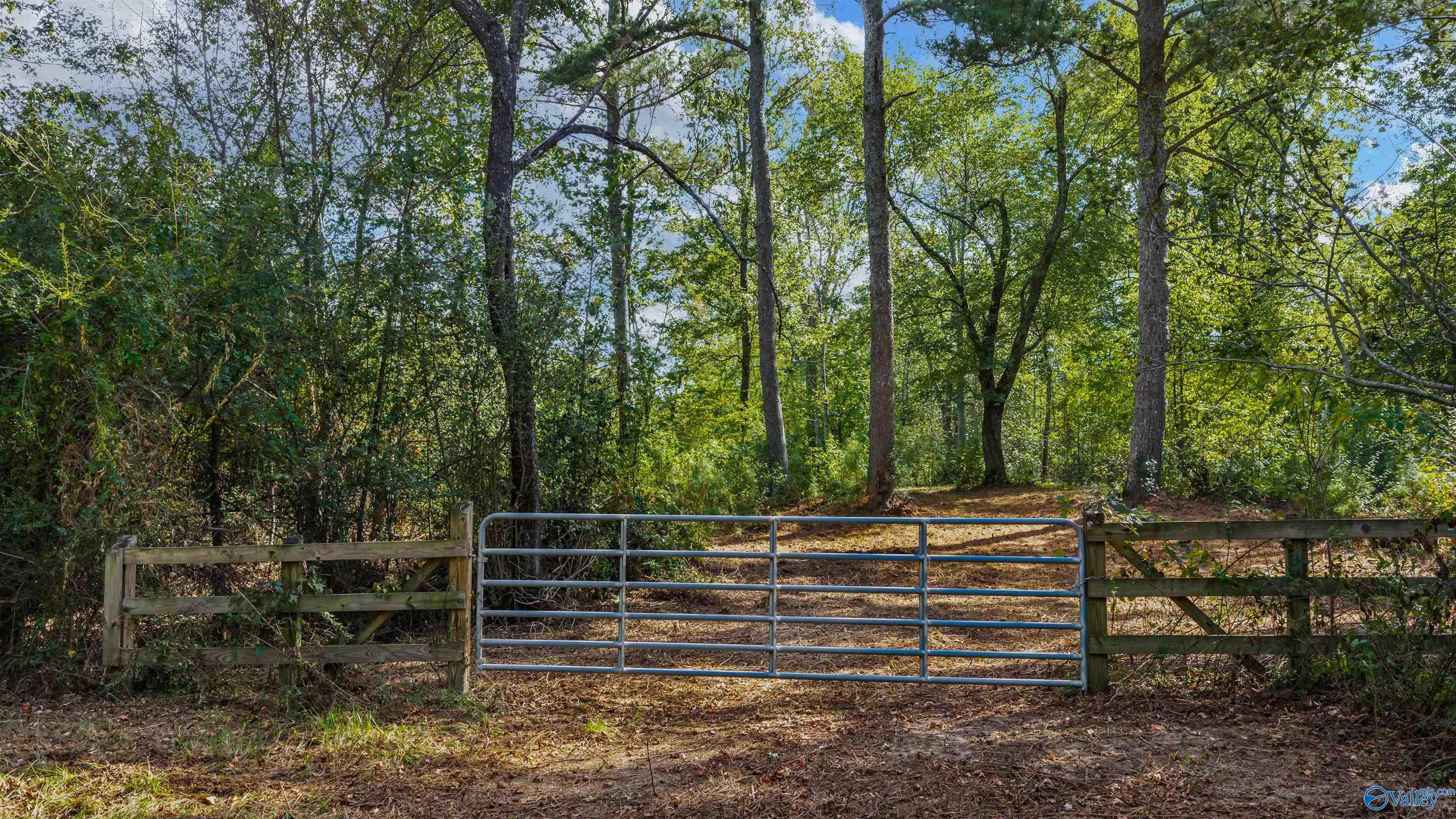 211 Bluff View Drive