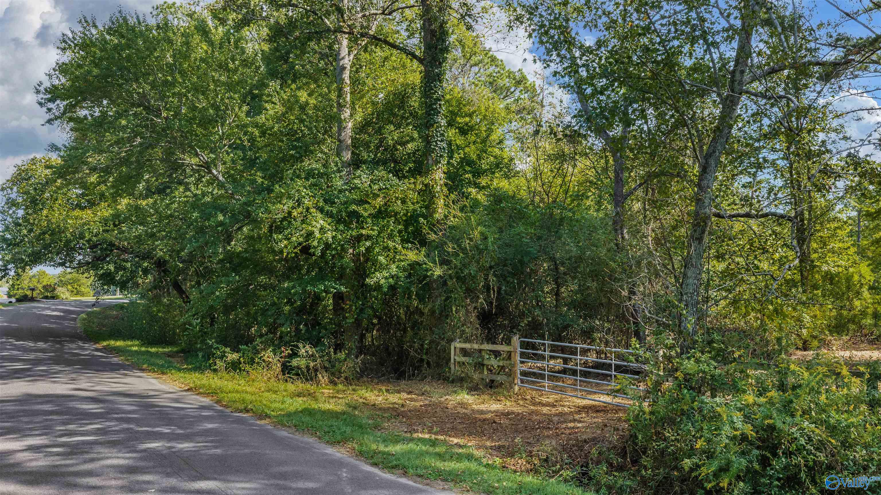 211 Bluff View Drive