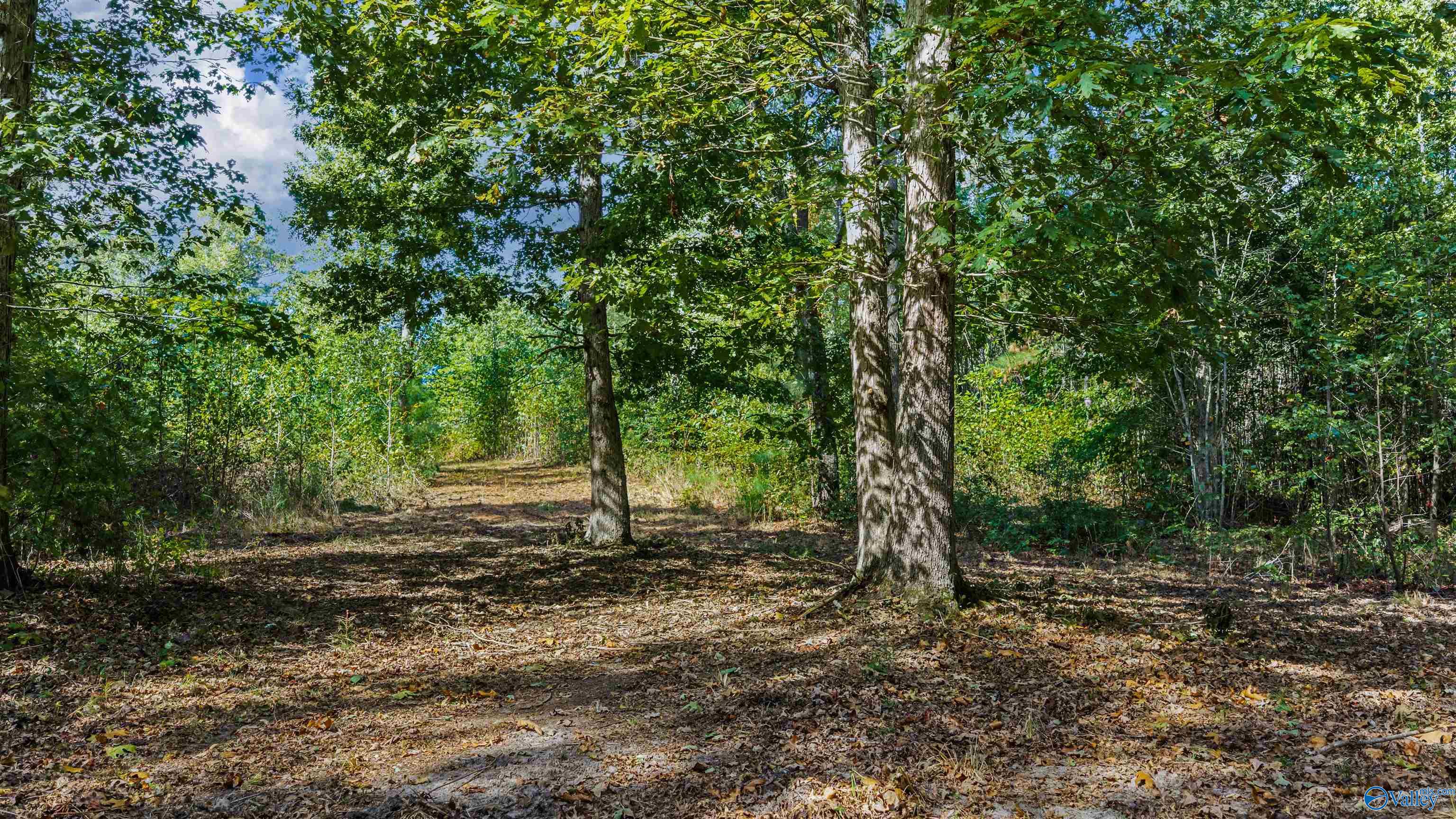 211 Bluff View Drive