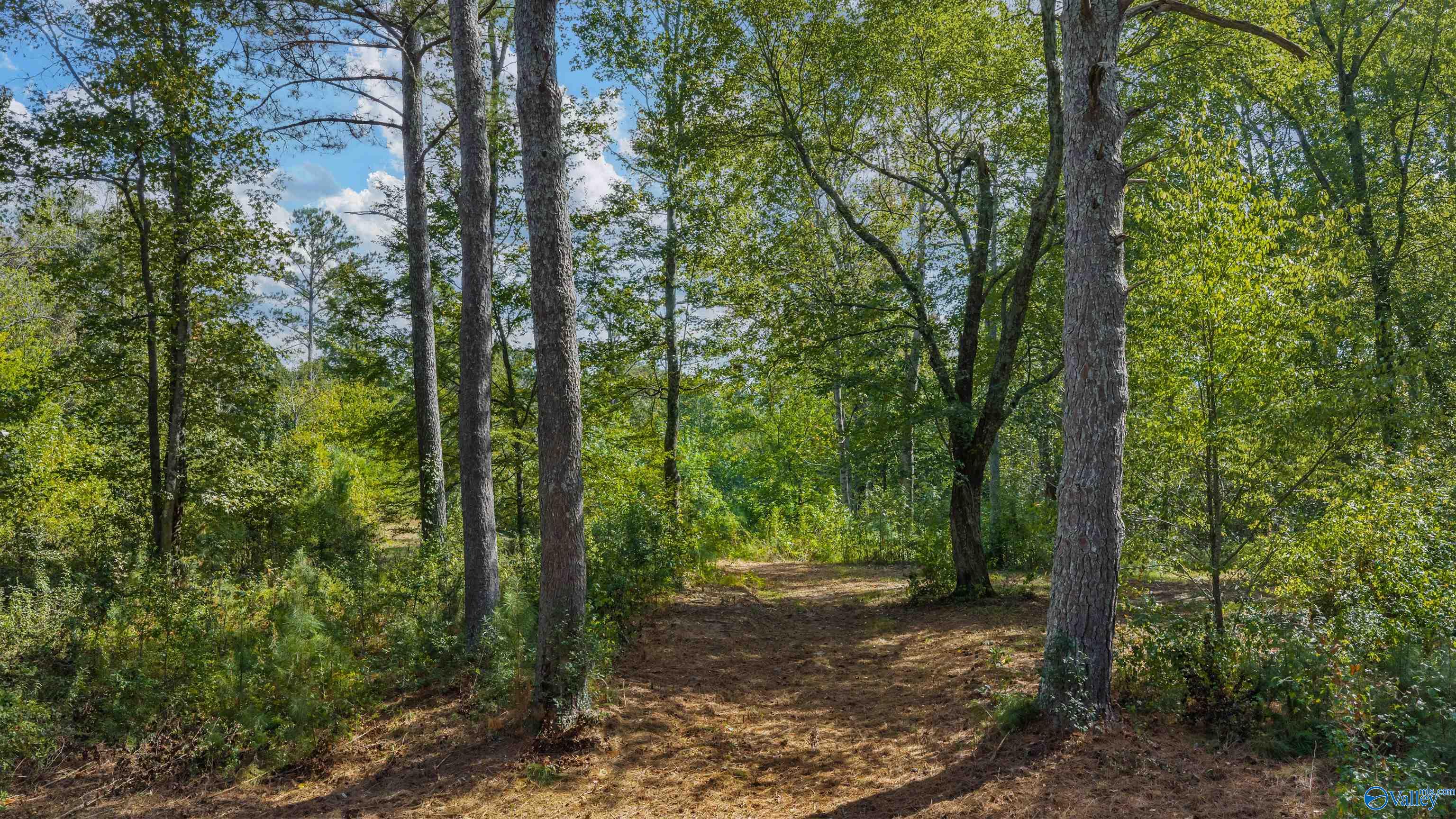 211 Bluff View Drive