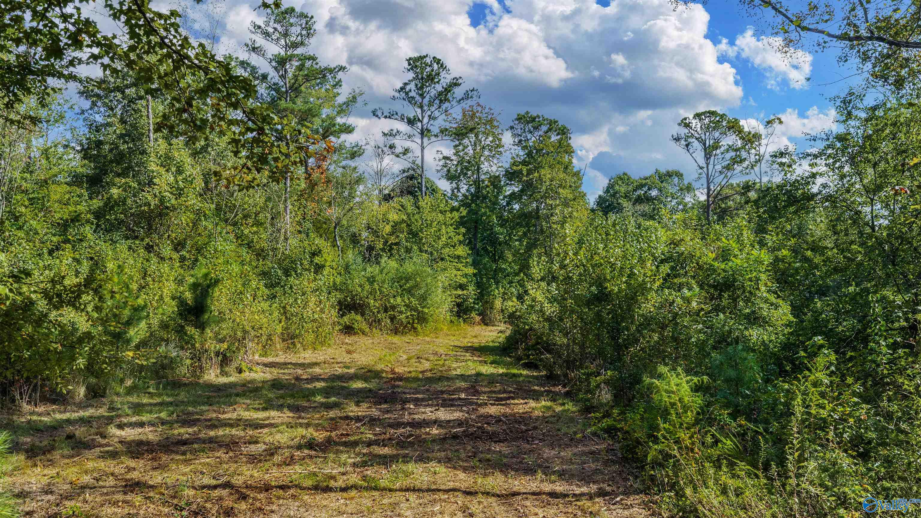 211 Bluff View Drive