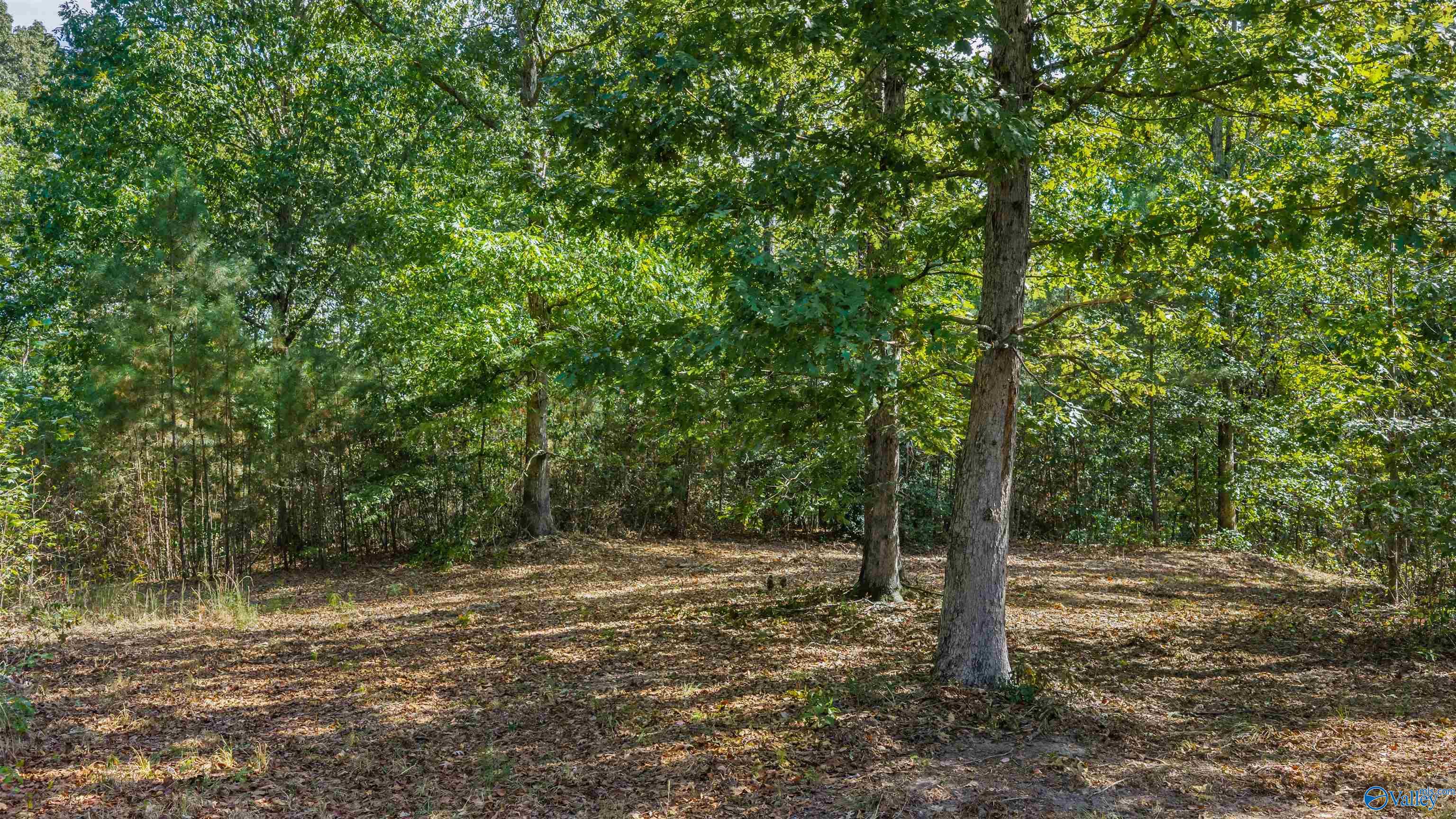 211 Bluff View Drive