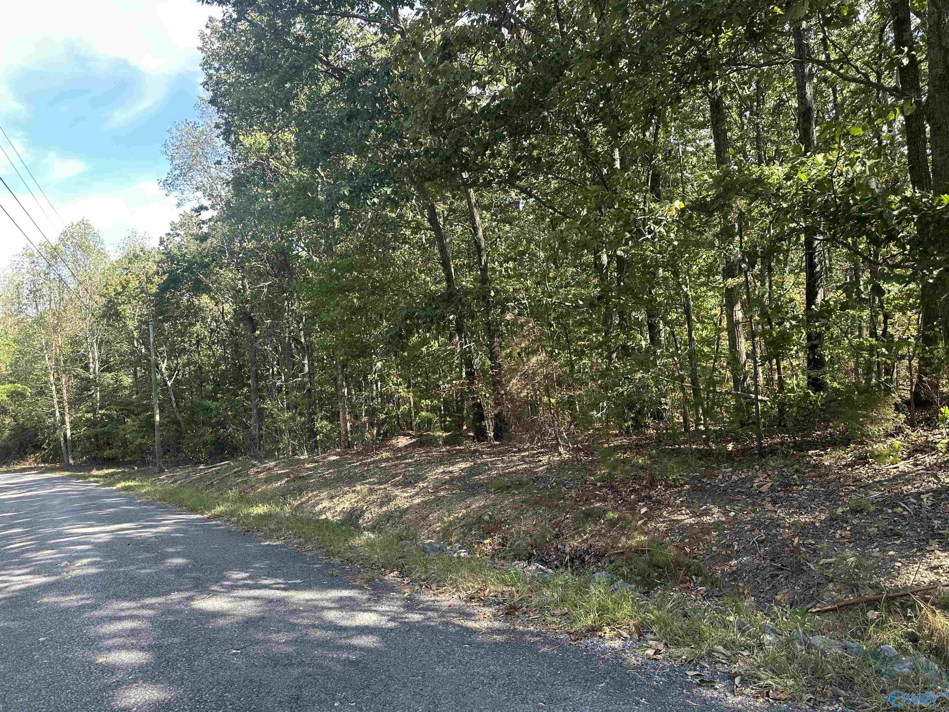 3 acres County Road 1025