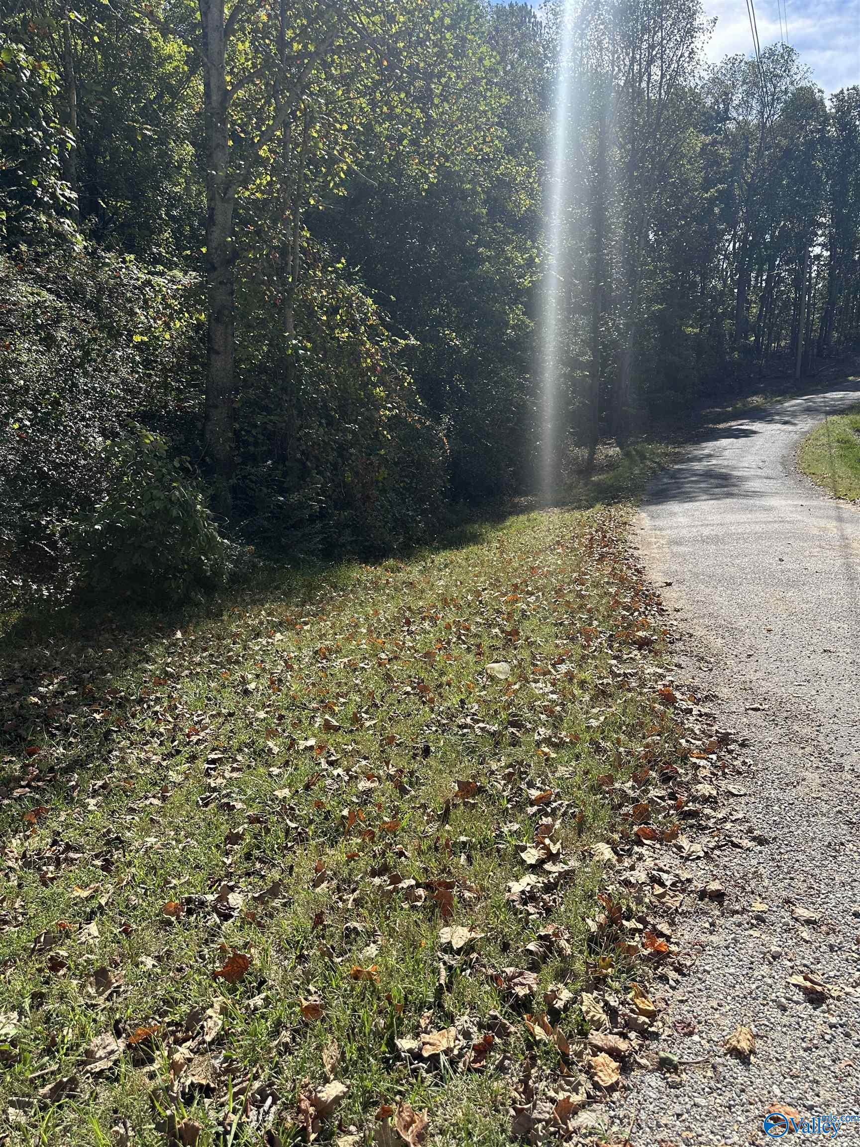 3 acres County Road 1025