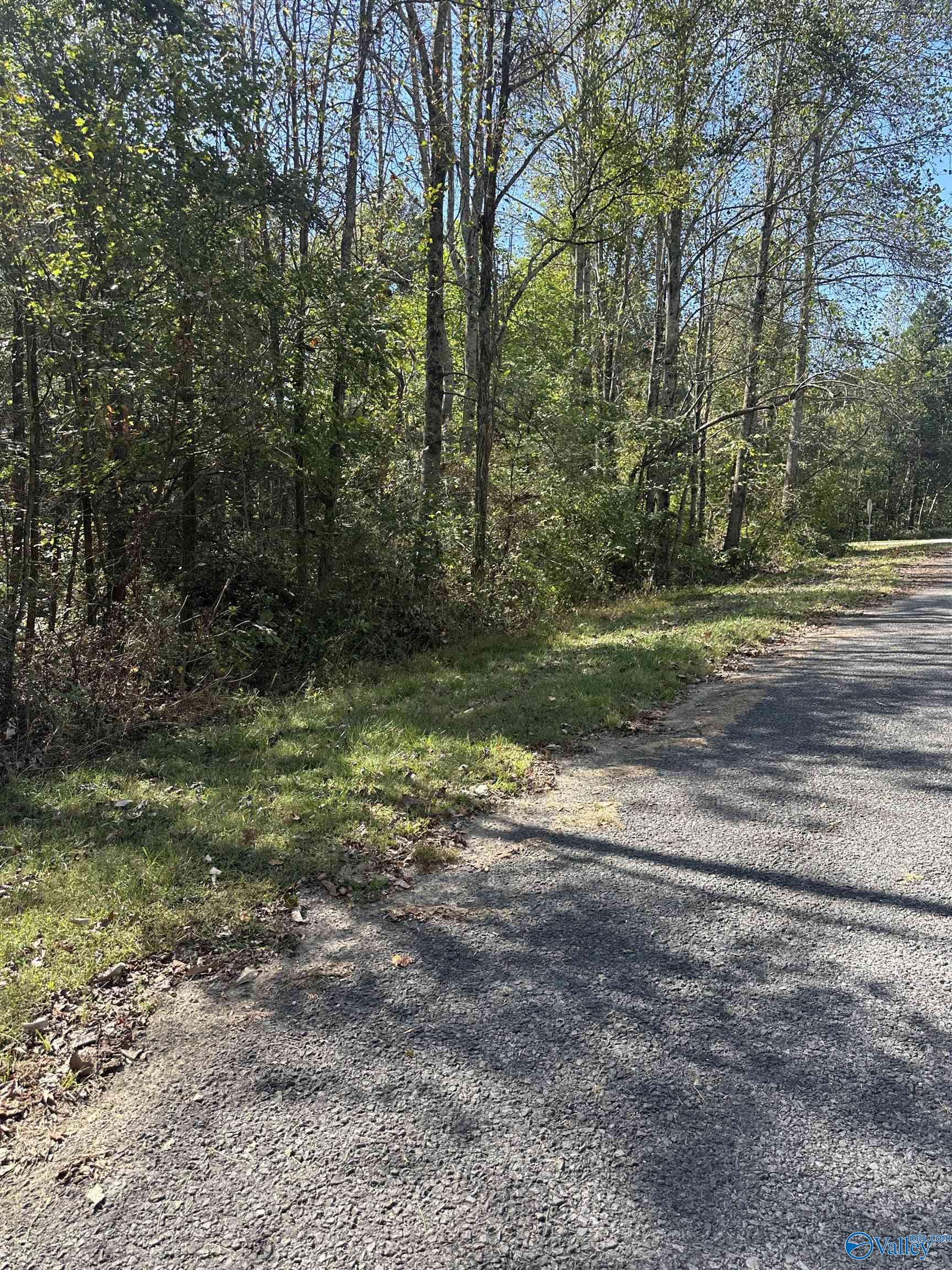 3 acres County Road 1025