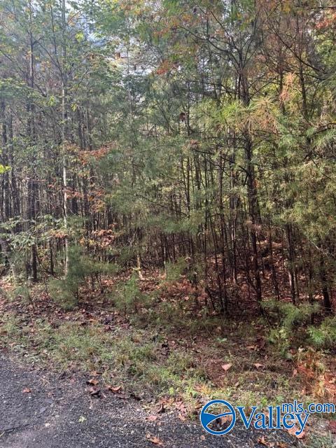 Lot 20 Road 903
