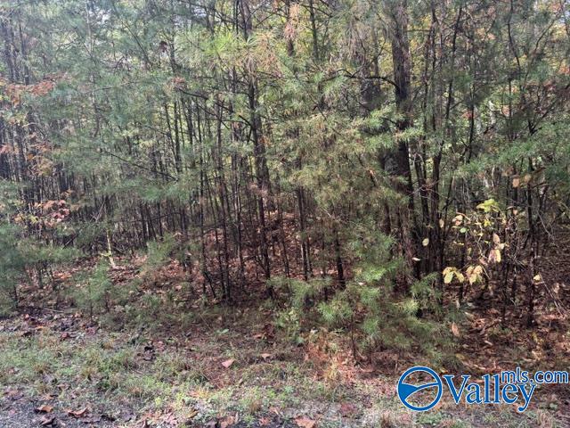 Lot 20 Road 903