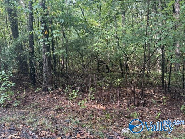 Lot 19 Road 903