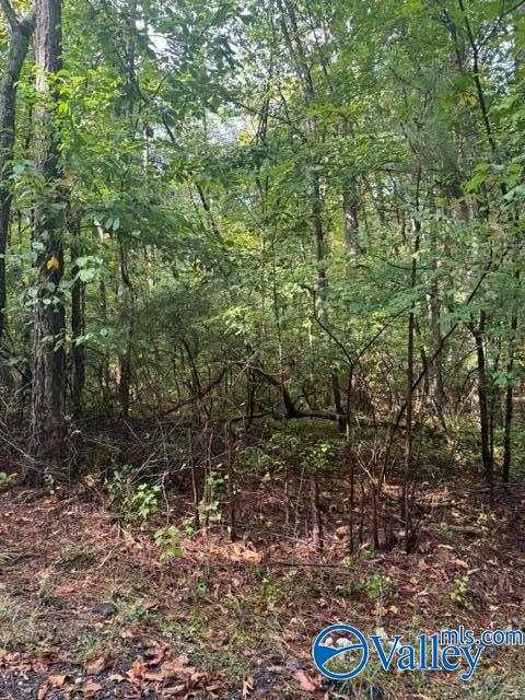 Lot 19 Road 903