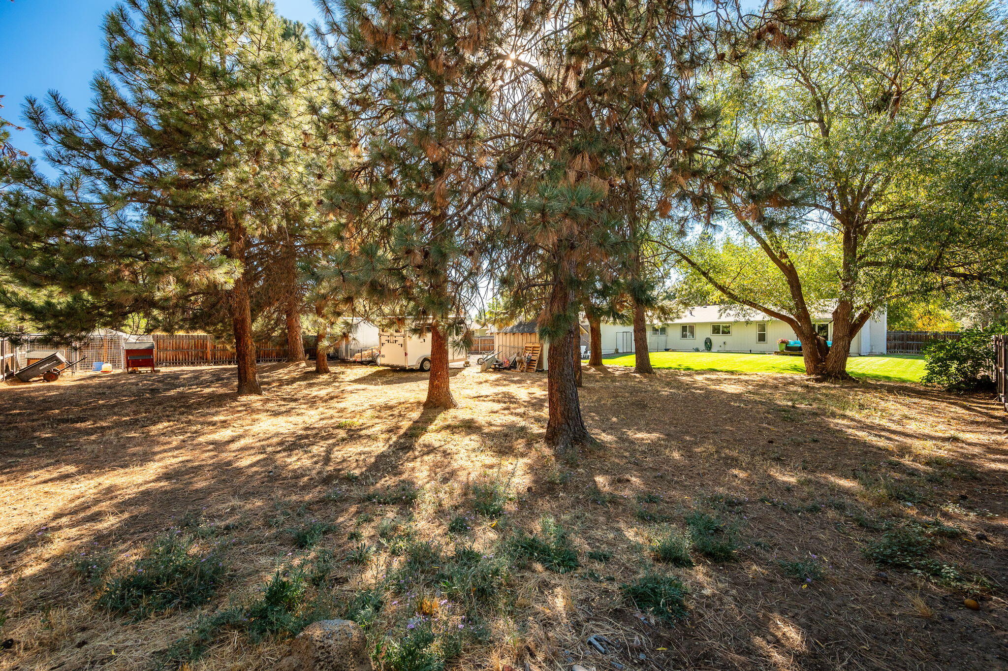 60812 Goldenrain Drive