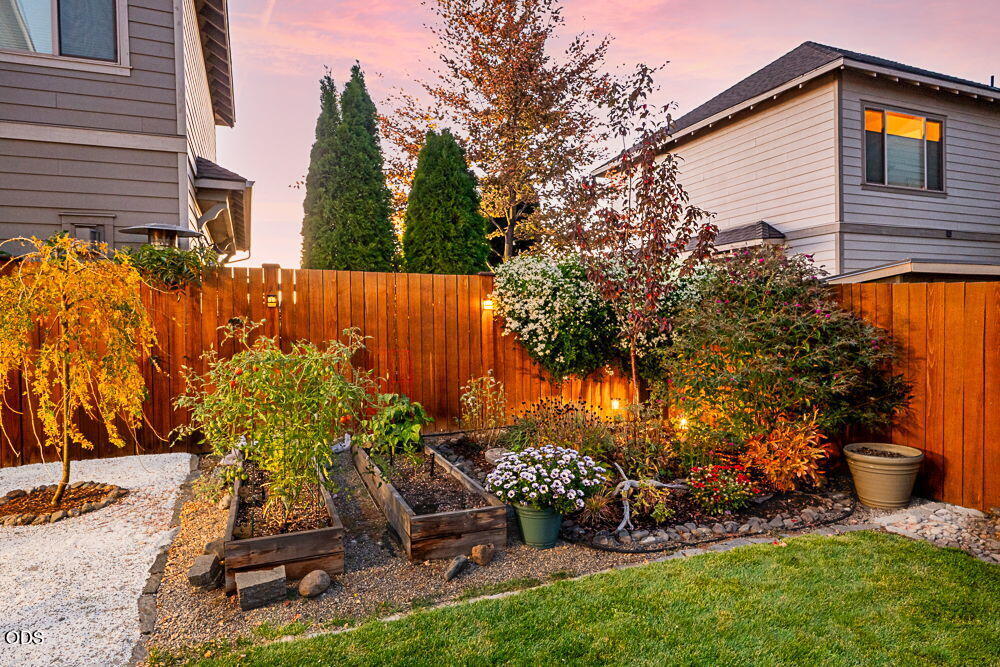 Backyard garden with raised beds, flowering plants, lawn, and wooden privacy fencing at dusk.