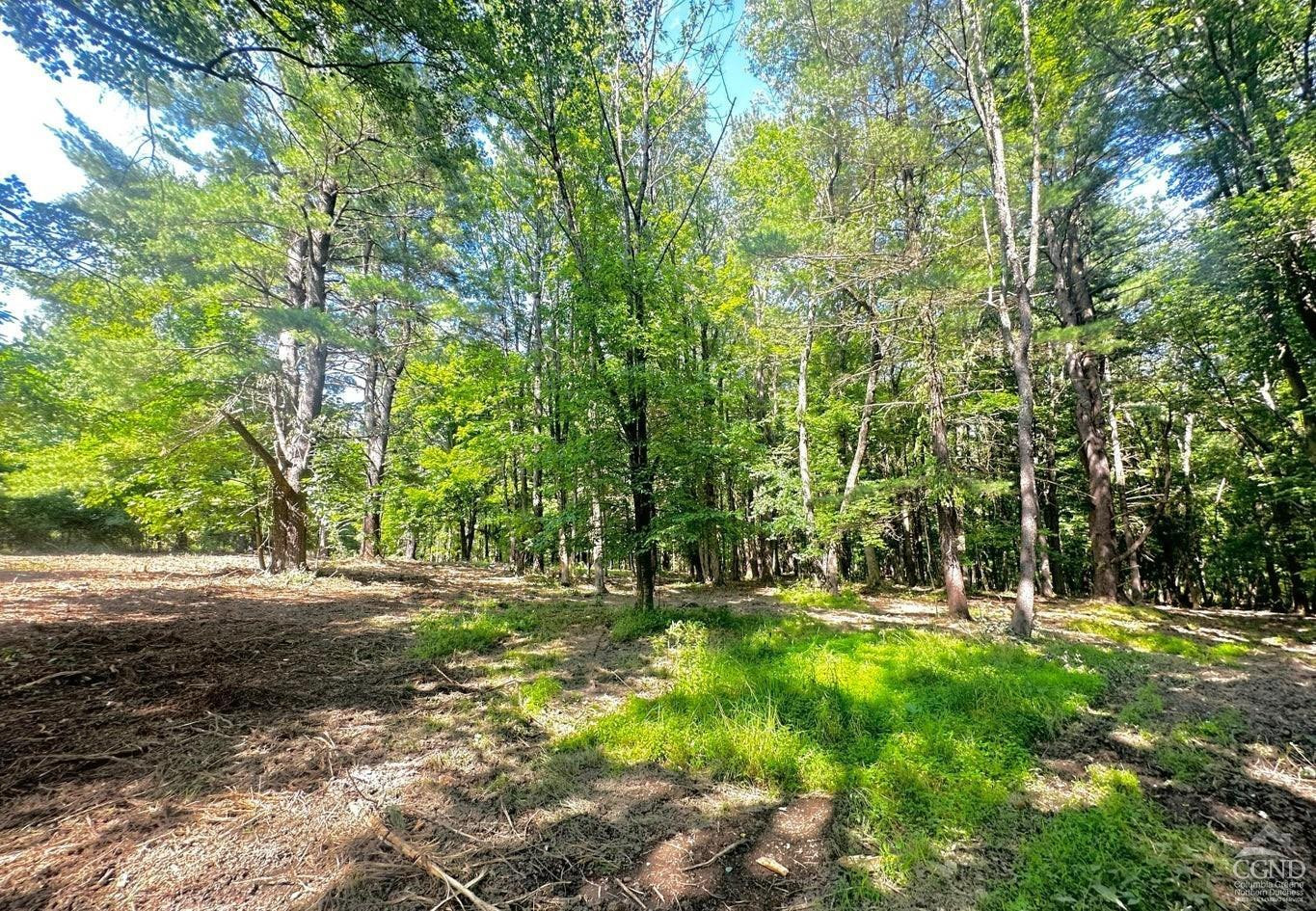 0 - Lot 1 Morey Park Rd
