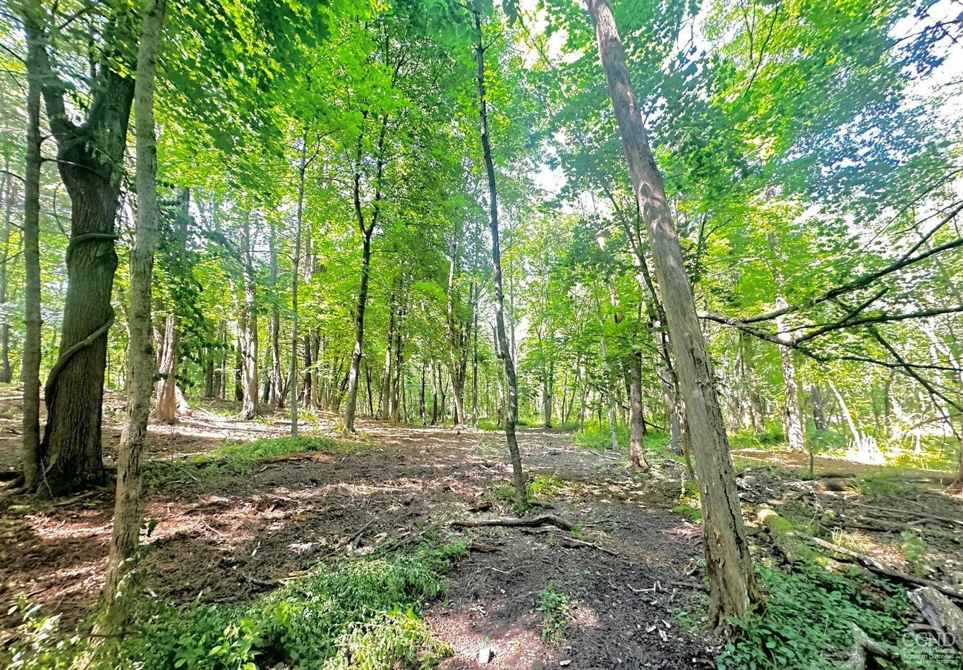 0 - Lot 1 Morey Park Rd