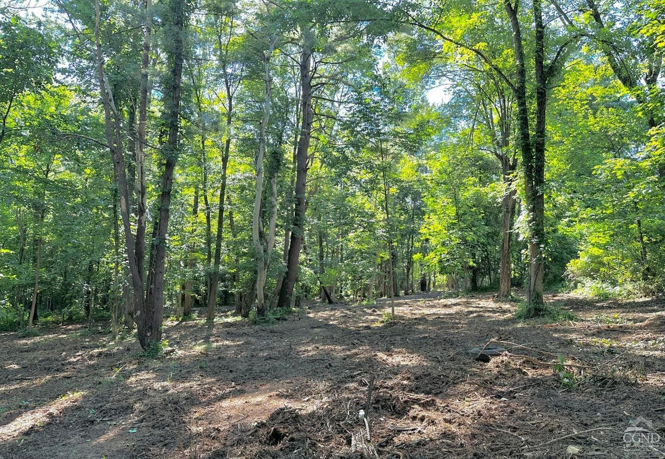 0 - Lot 1 Morey Park Rd