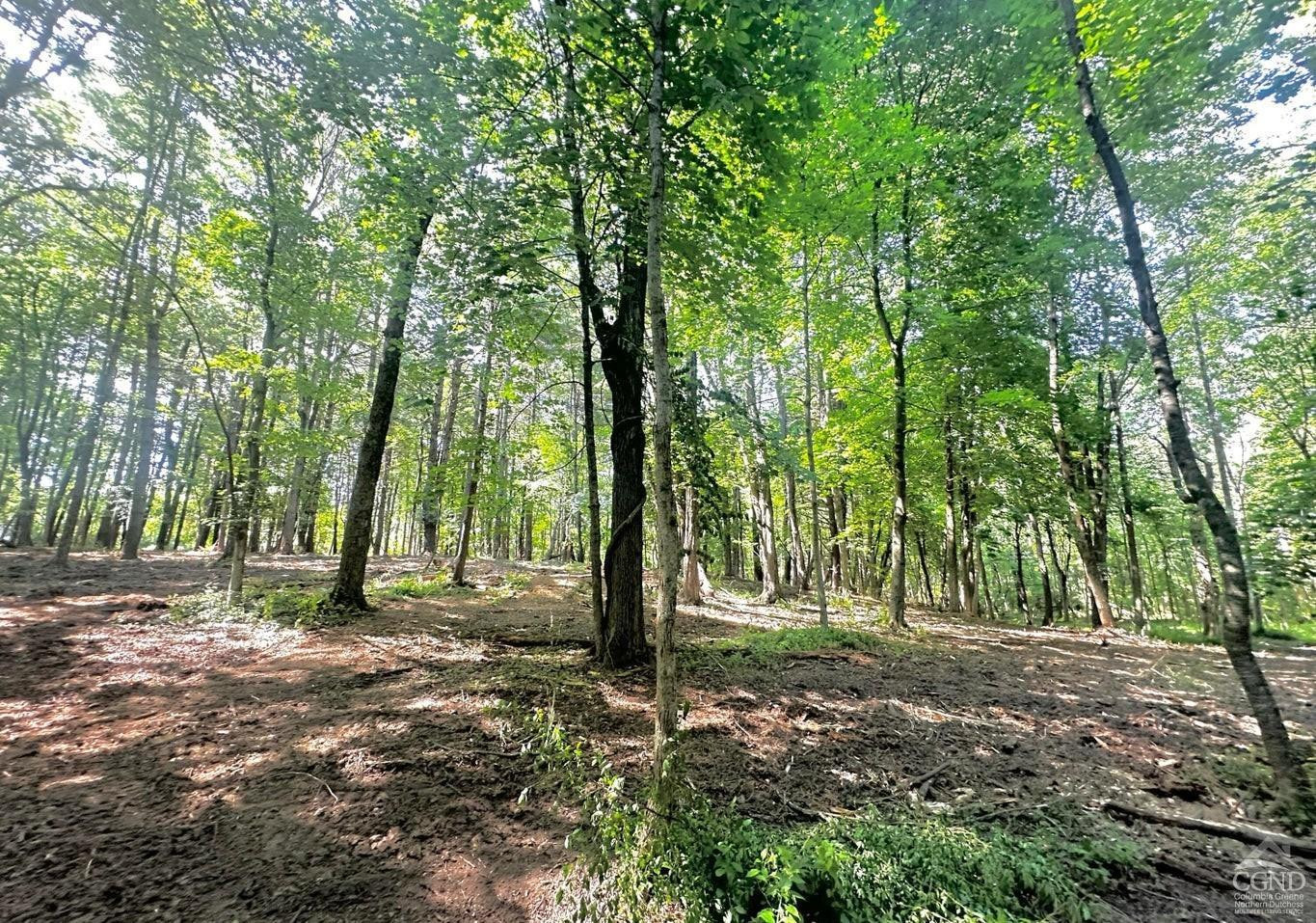 0 - Lot 1 Morey Park Rd