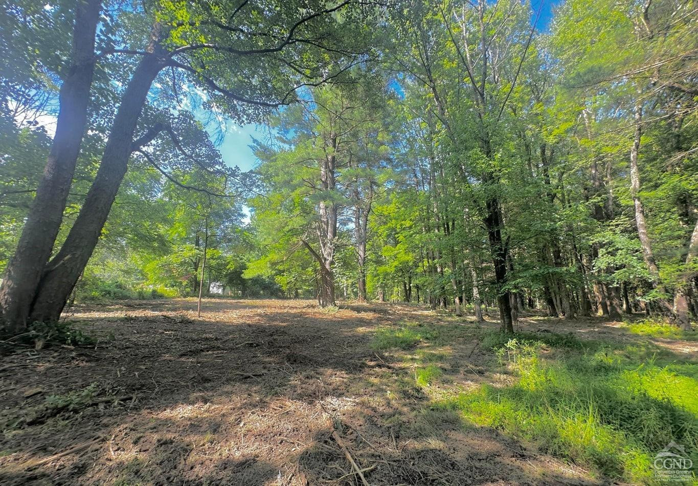 0 - Lot 1 Morey Park Rd