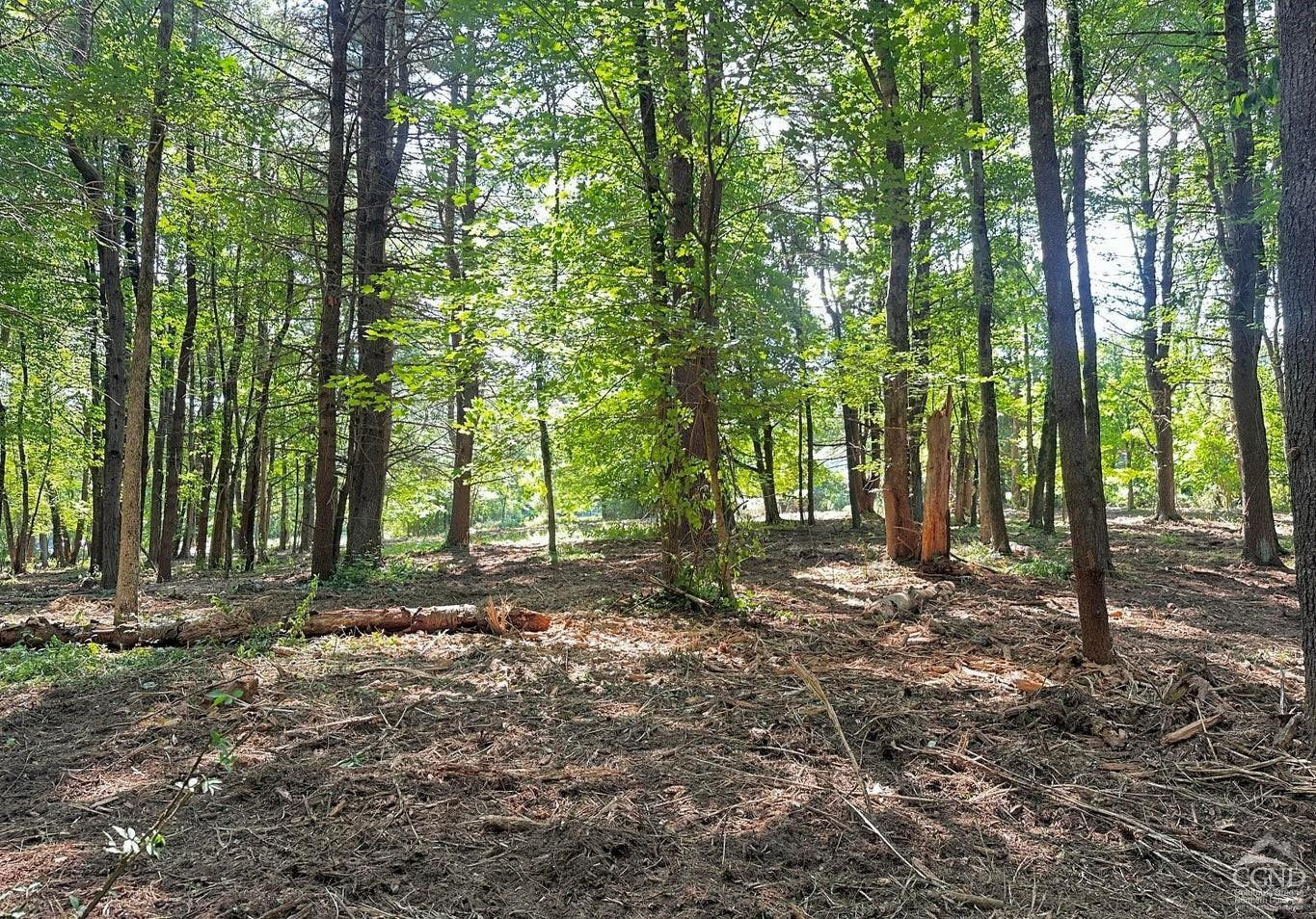 0 - Lot 1 Morey Park Rd
