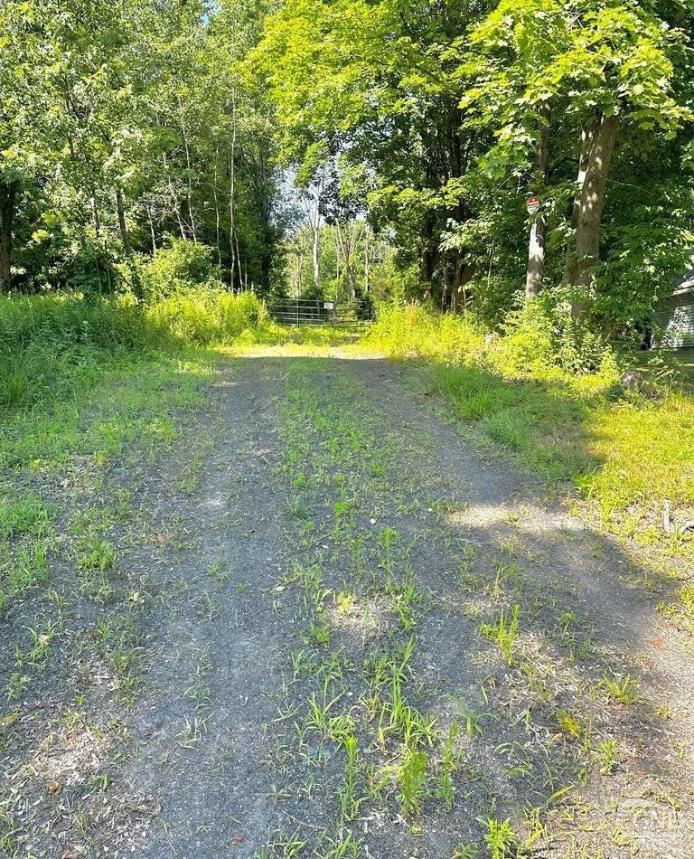 0 - Lot 1 Morey Park Rd