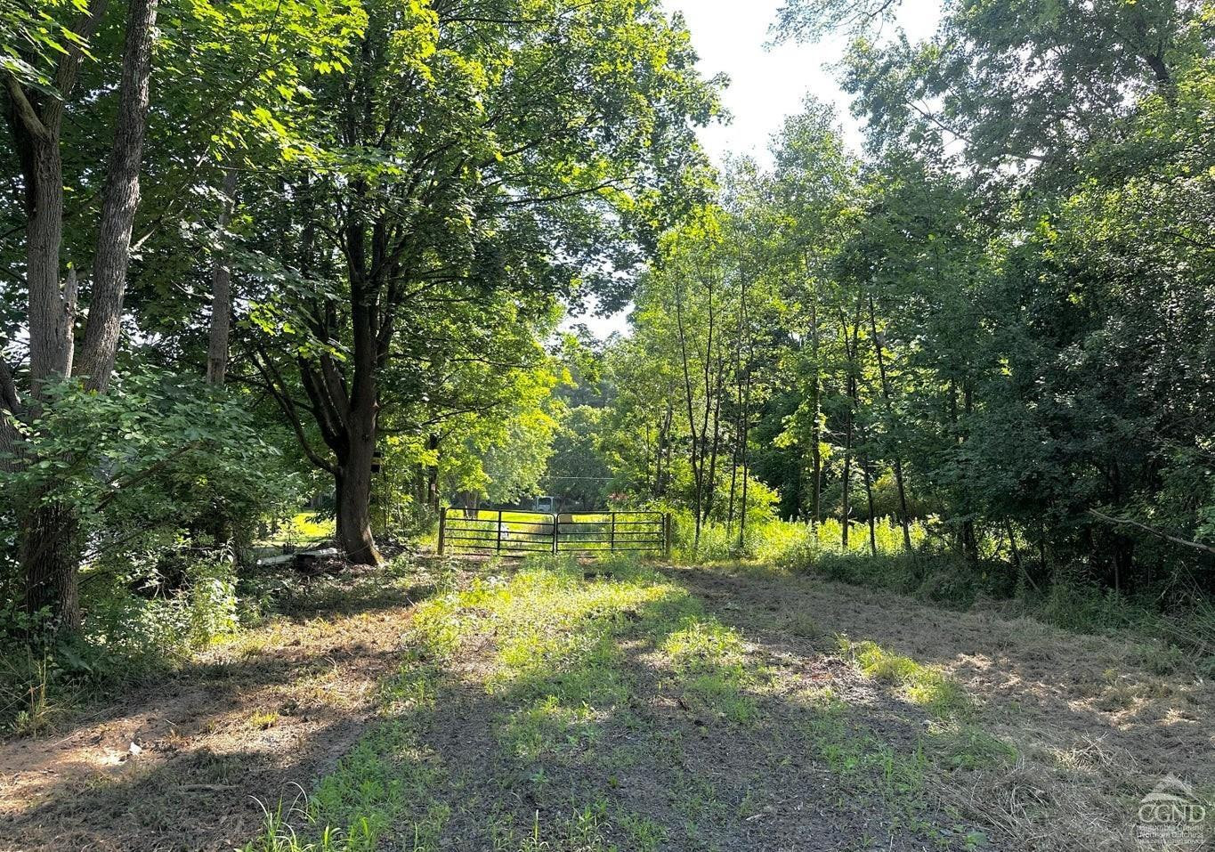 0 - Lot 1 Morey Park Rd