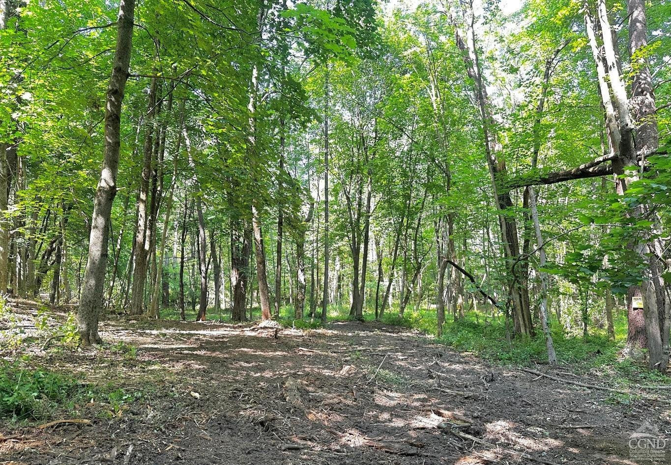 0 - Lot 1 Morey Park Rd